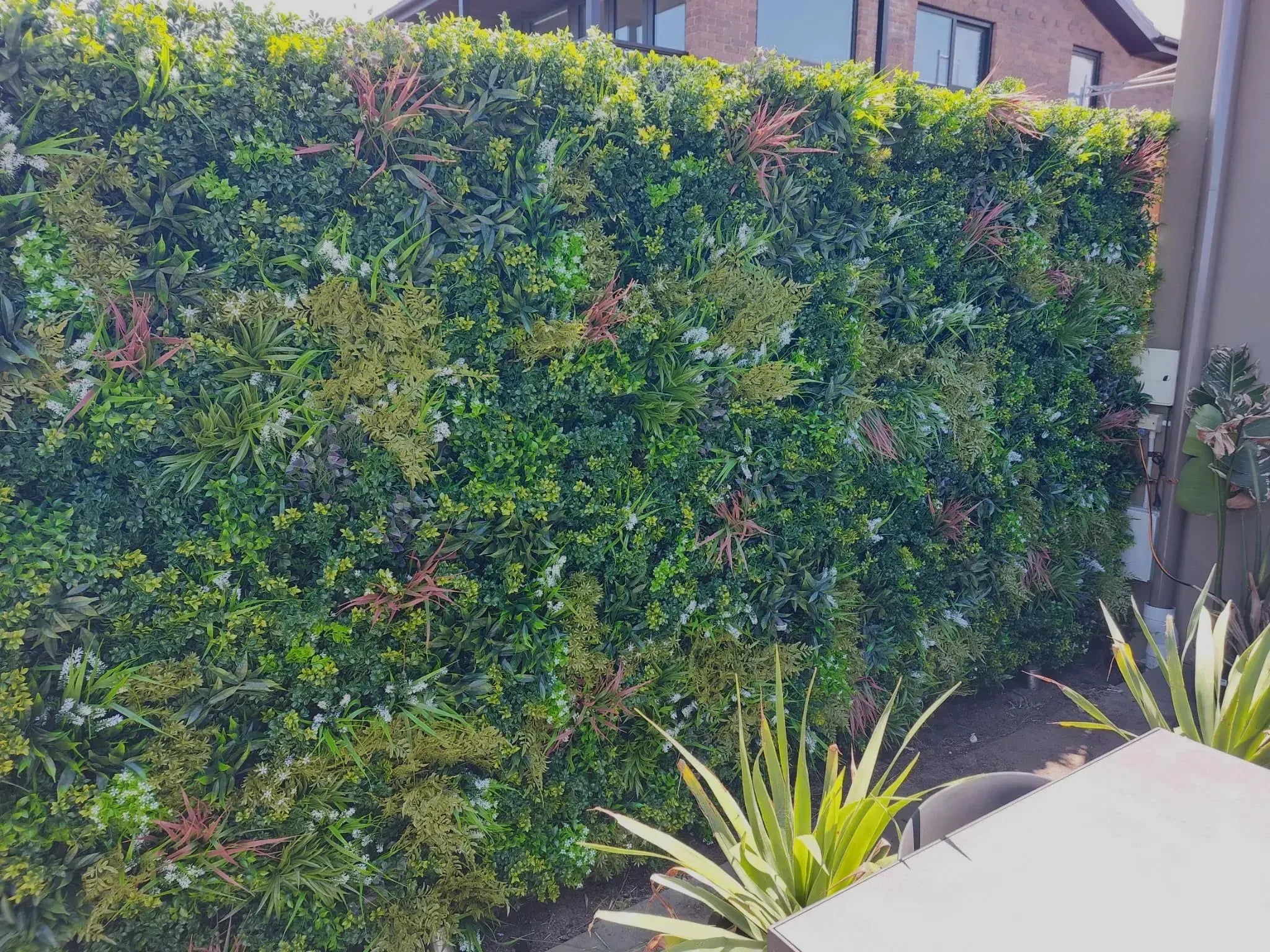 Luxury Plant Wall Panel on a Railing Fence for Privacy Screening California