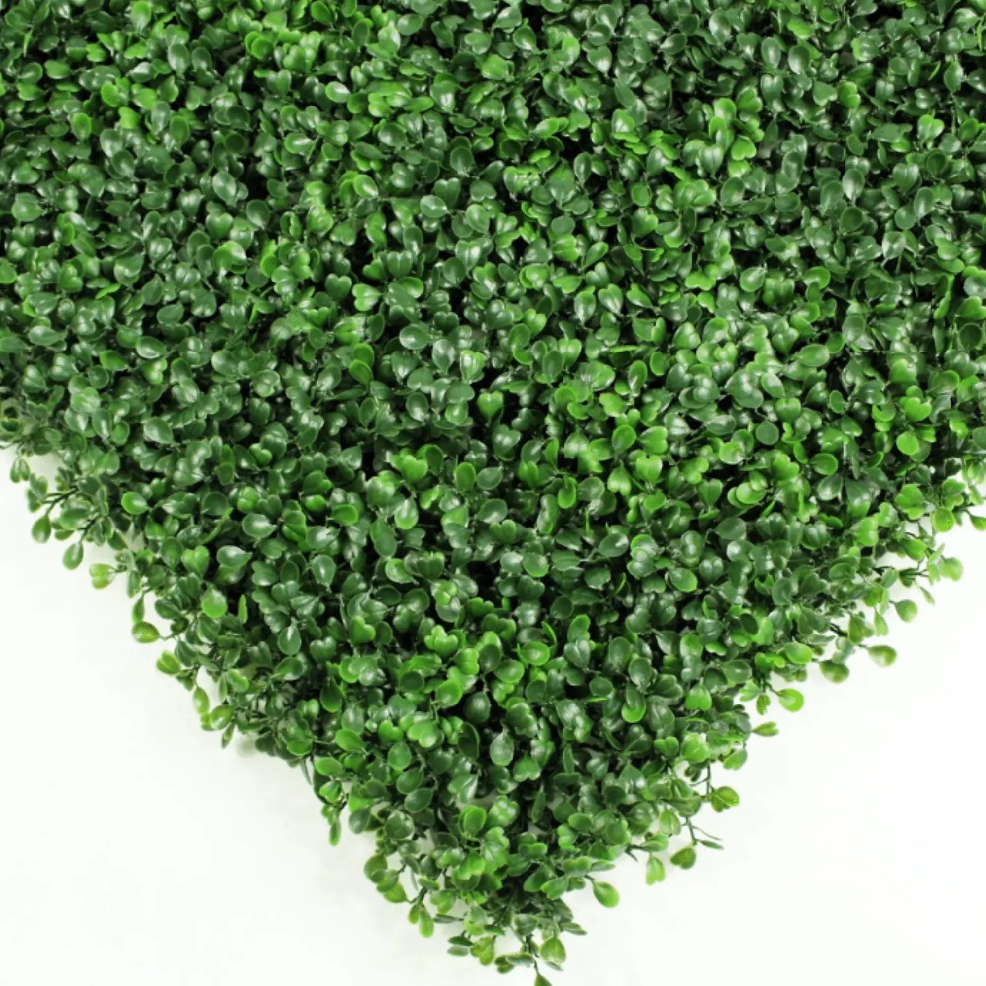 Dark Artificial Boxwood Wall (6 Pieces 40" x 40") 66 SQ FT Set Commercial Grade UV Resistant (EXCESS STOCK PRICE)