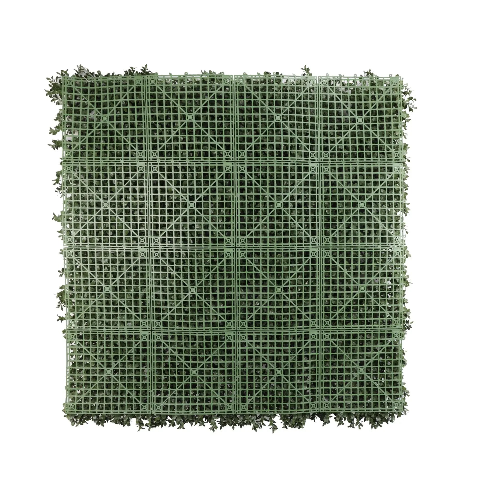 Dark Dark Green Extra Dense Boxwood Foliage 1m x 1m /40″x40″ Vertical Garden Wall UV+ FR