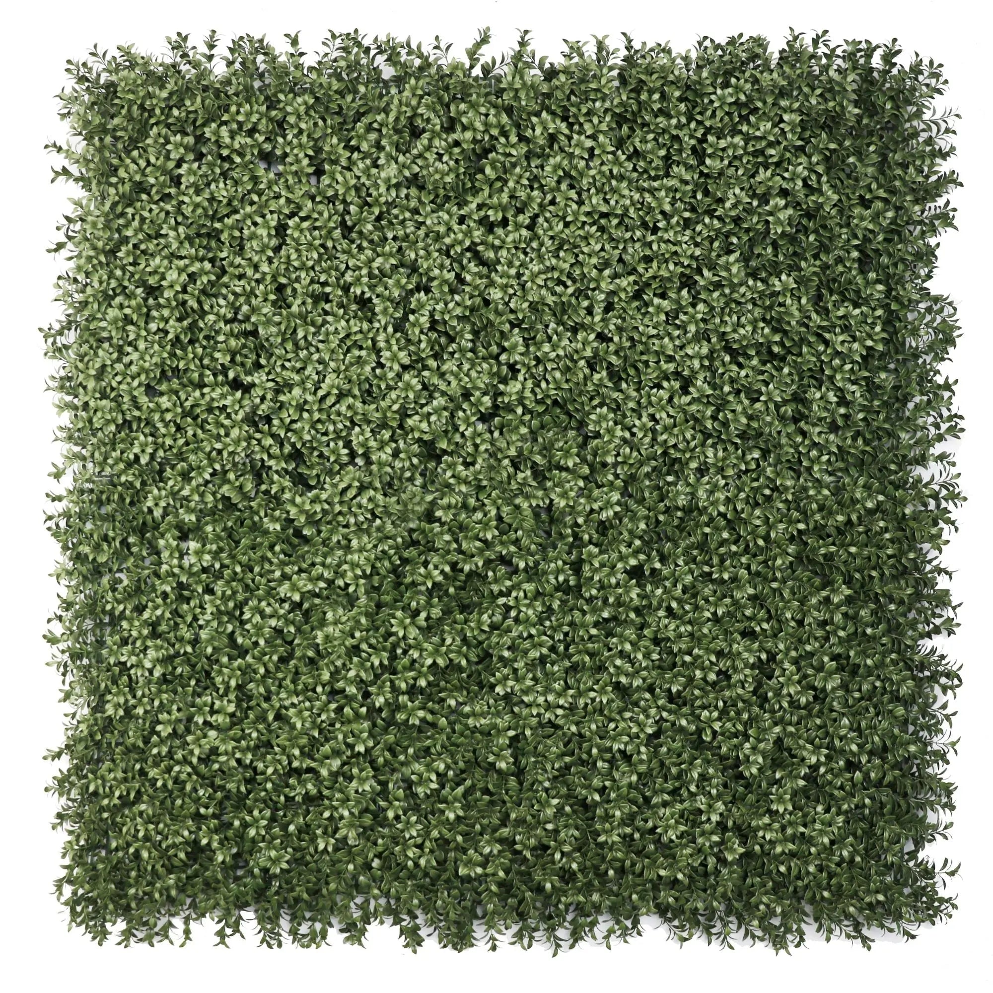 Extra dense dark green artificial boxwood vertical garden panel 40x40in, UV and fire rated