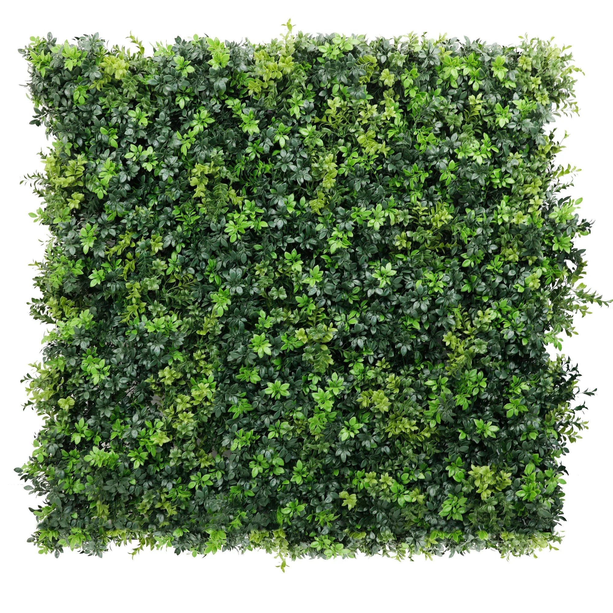 Commercial grade dark boxwood panel 40x40in with metal frame, UV and fire rated