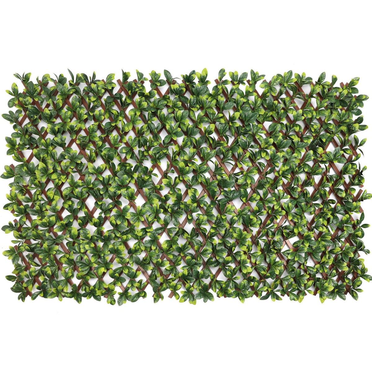Expandable faux ficus leaf trellis privacy fence with lush green foliage and expandable lattice design, UV resistant and maintenance-free.
