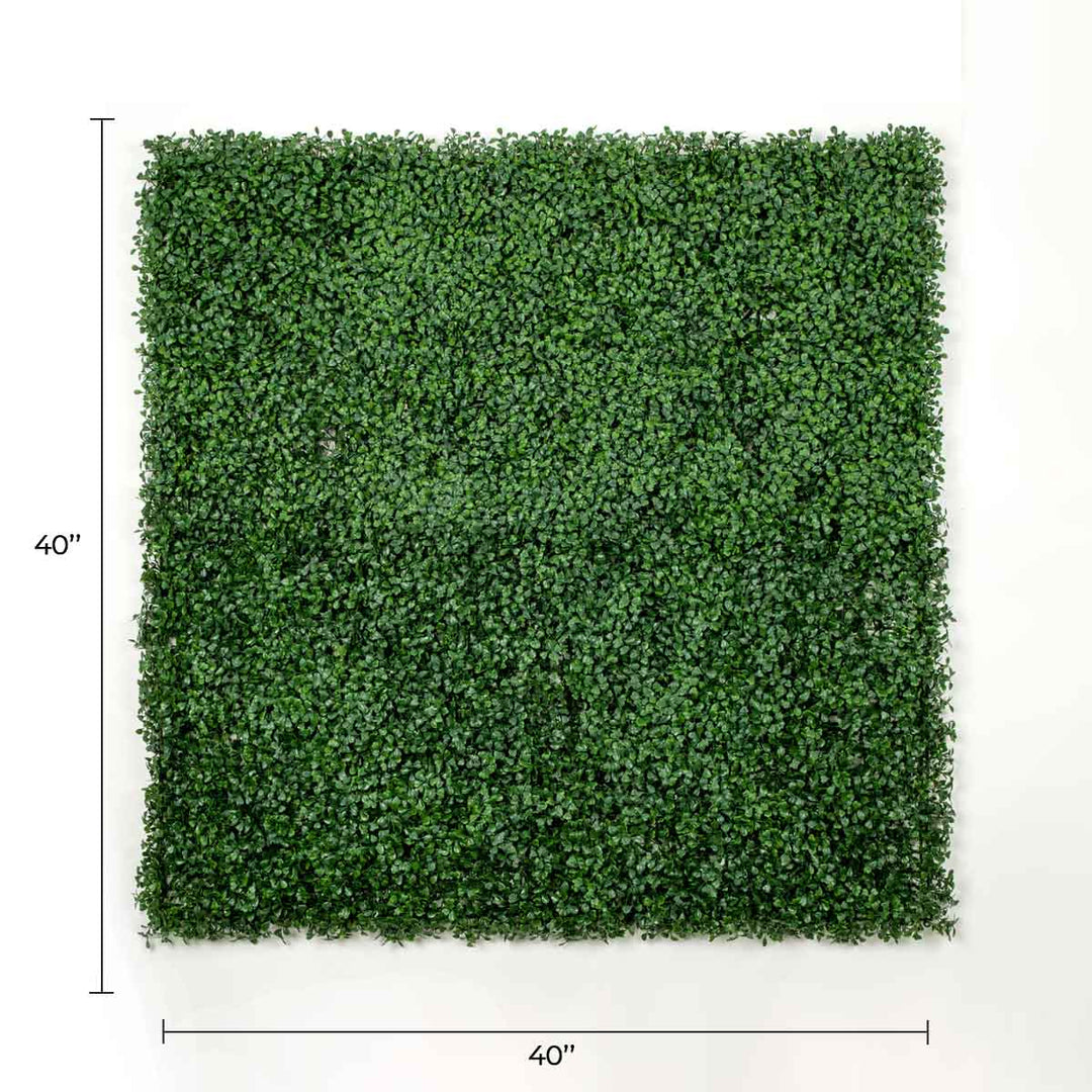 Dark Artificial Boxwood Wall (6 Pieces 40" x 40") 66 SQ FT Set Commercial Grade UV Resistant (EXCESS STOCK PRICE)