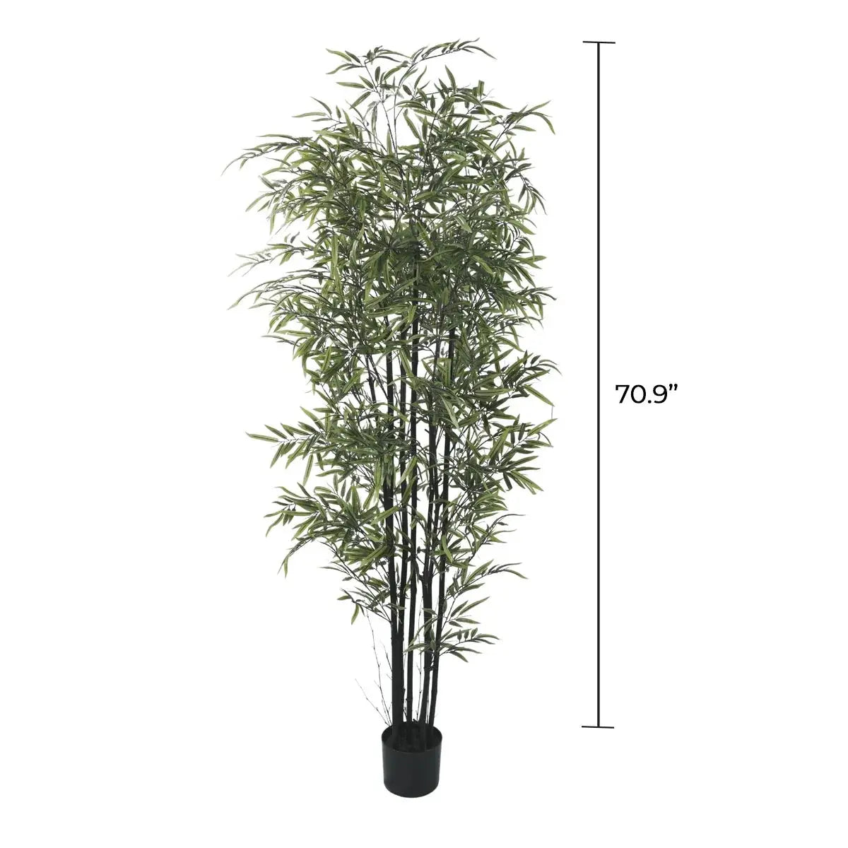Premium Dense Artificial Black Bamboo 70.9in