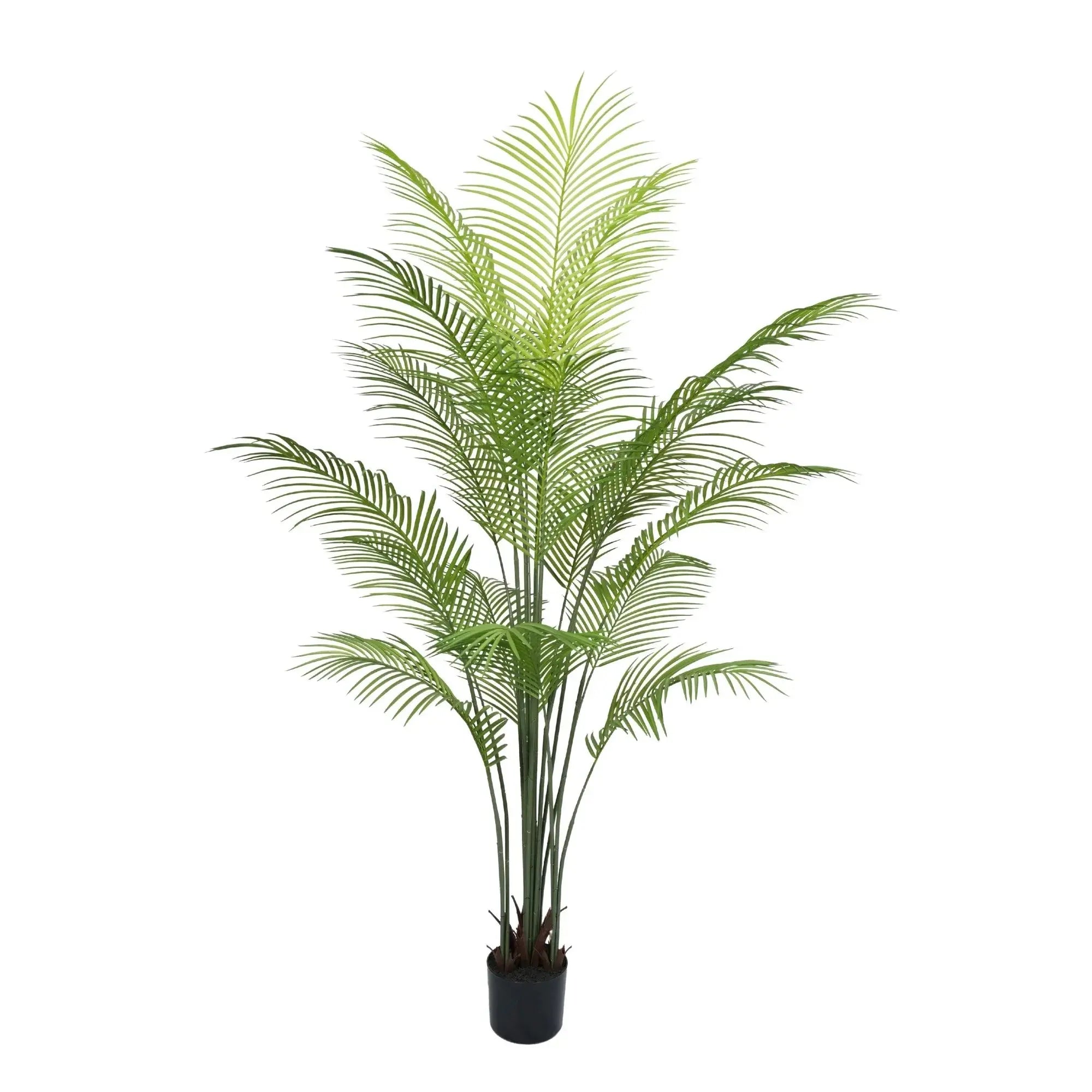 Premium Dense Artificial Palm Tree 70.9in Areca Faux Tree (Knock Down)