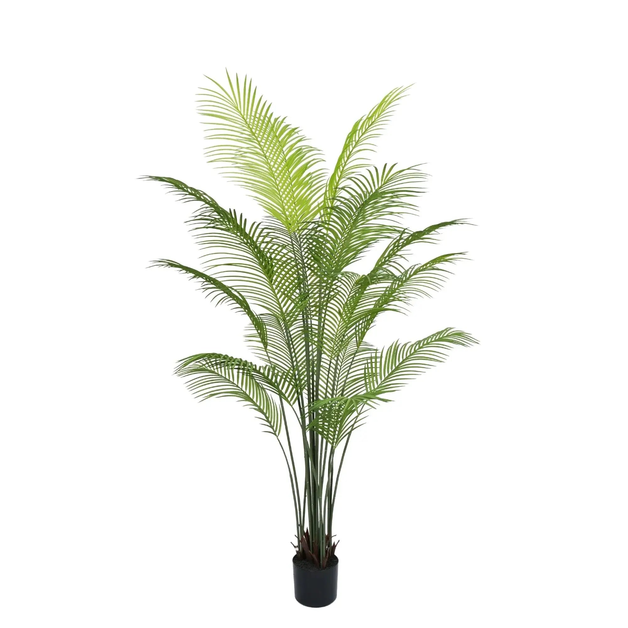 Premium Dense Artificial Palm Tree 70.9in Areca Faux Tree (Knock Down)