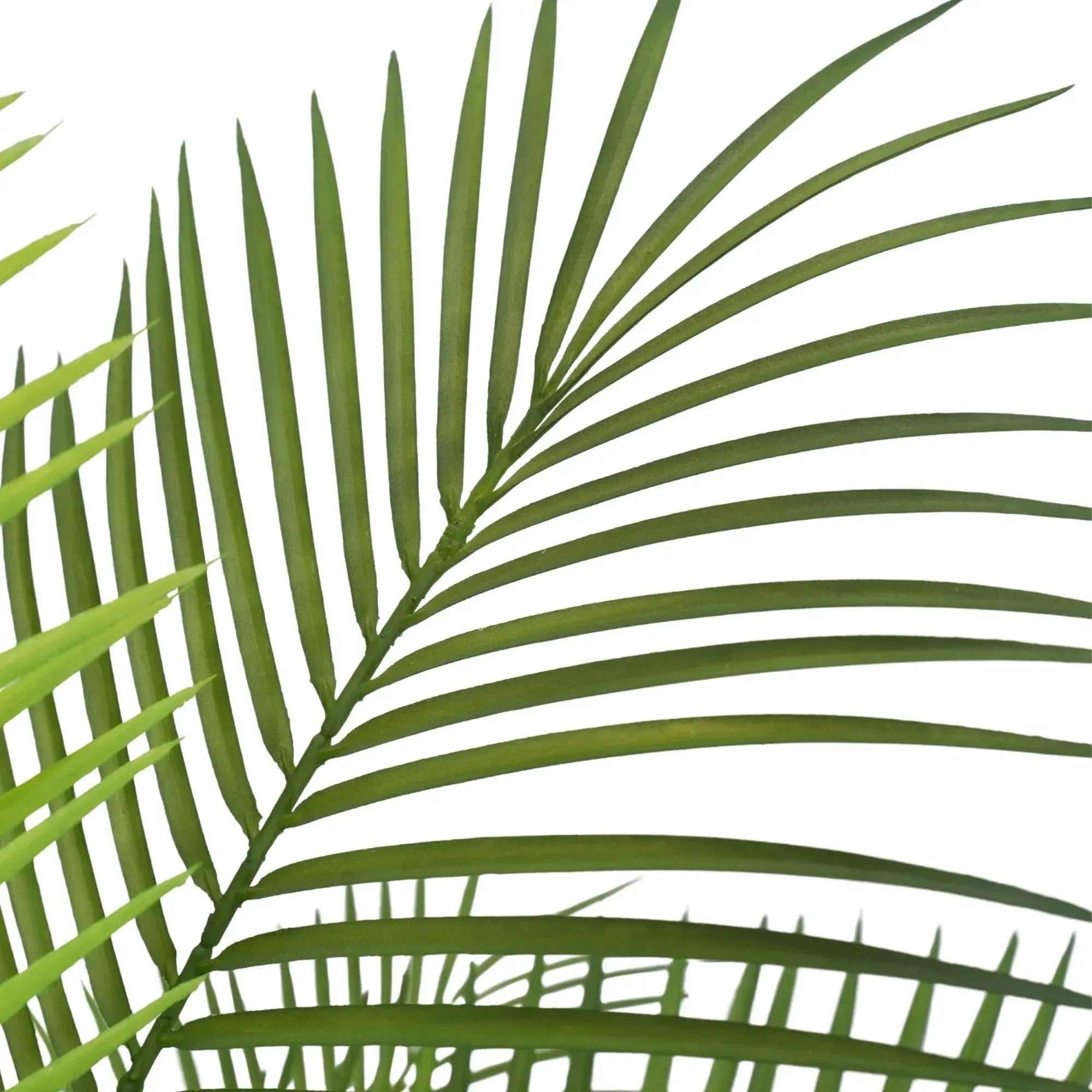 Premium Dense Artificial Palm Tree 70.9in Areca Faux Tree (Knock Down)