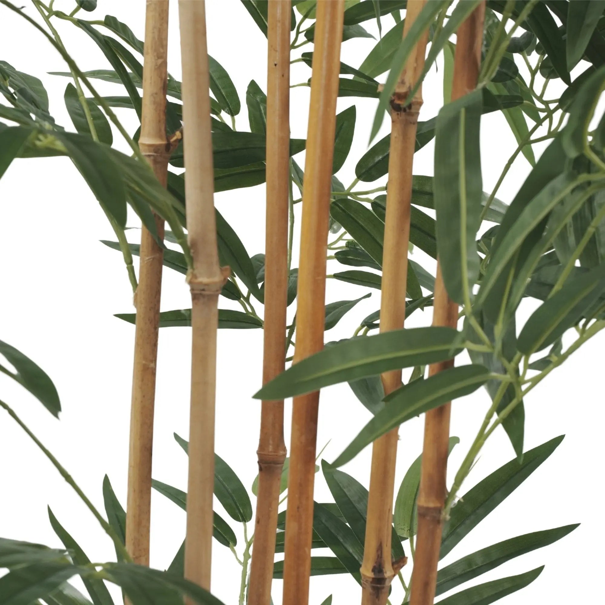 Premium Potted Artificial Bamboo with Natural Trunk 70.9in