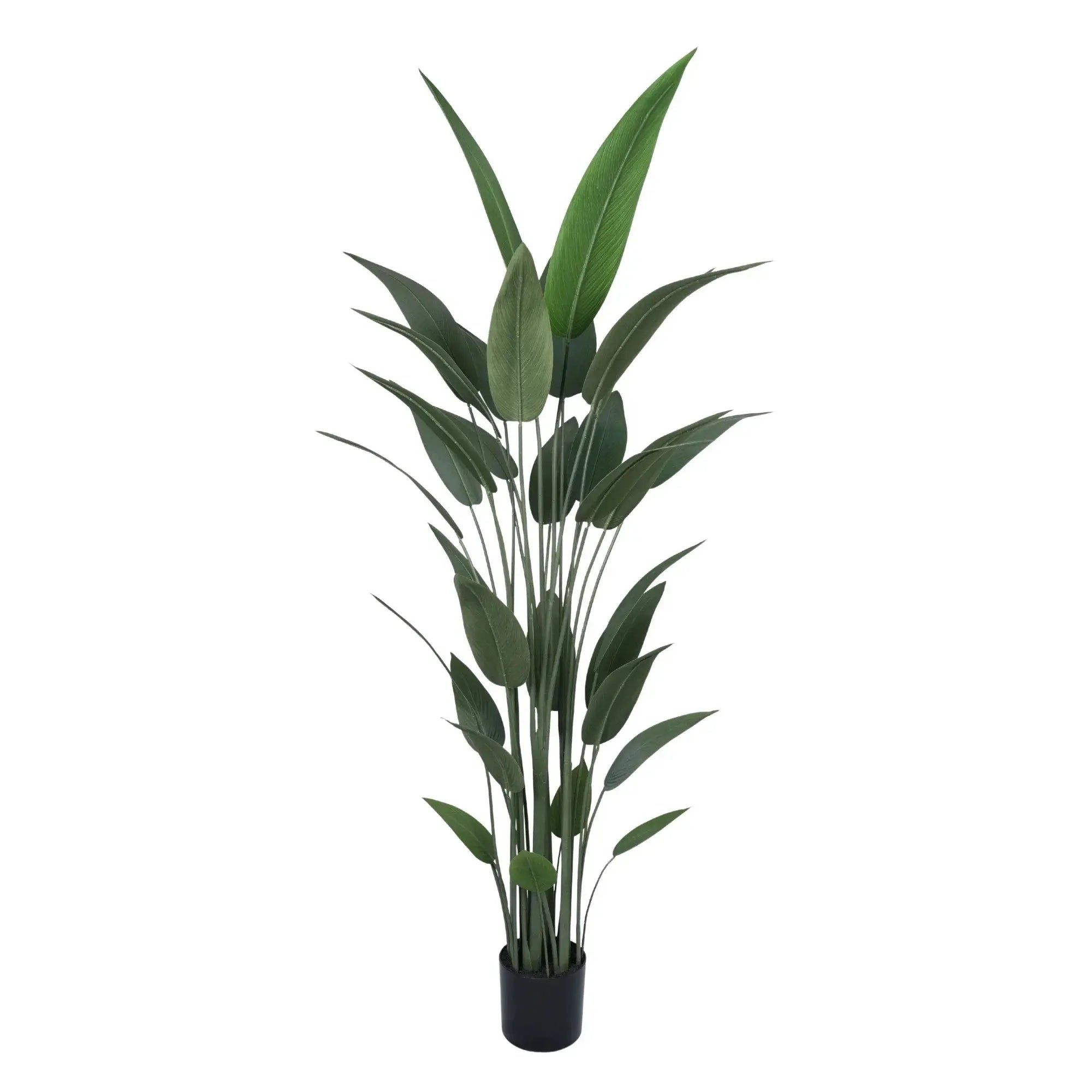 Premium Artificial Bird of Paradise 82.7in (Knock Down)