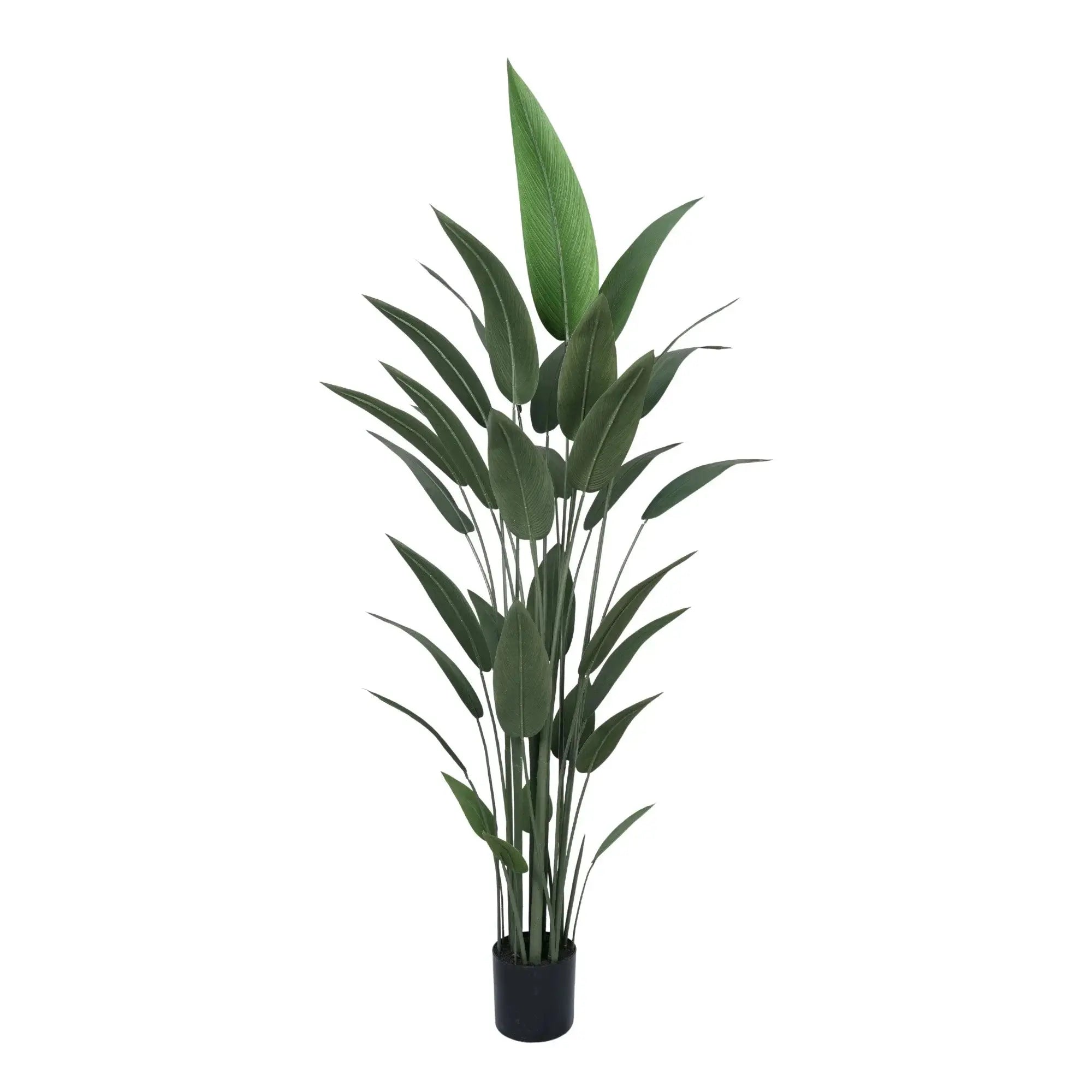 Premium Artificial Bird of Paradise 82.7in (Knock Down)