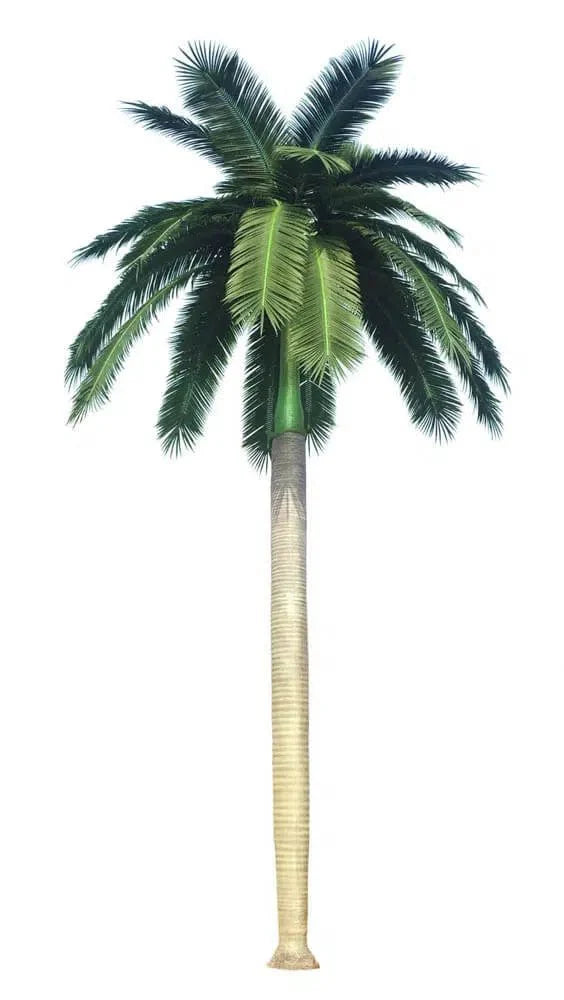 Royal Palm Faux Tree for Hotels Airports and Event Spaces