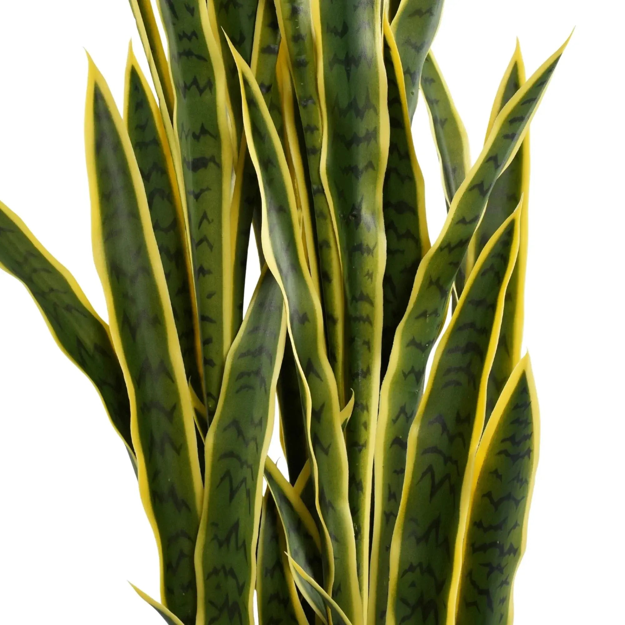 Premium Artificial Snake Plant (Sansevieria) 59.1in UV Resistant