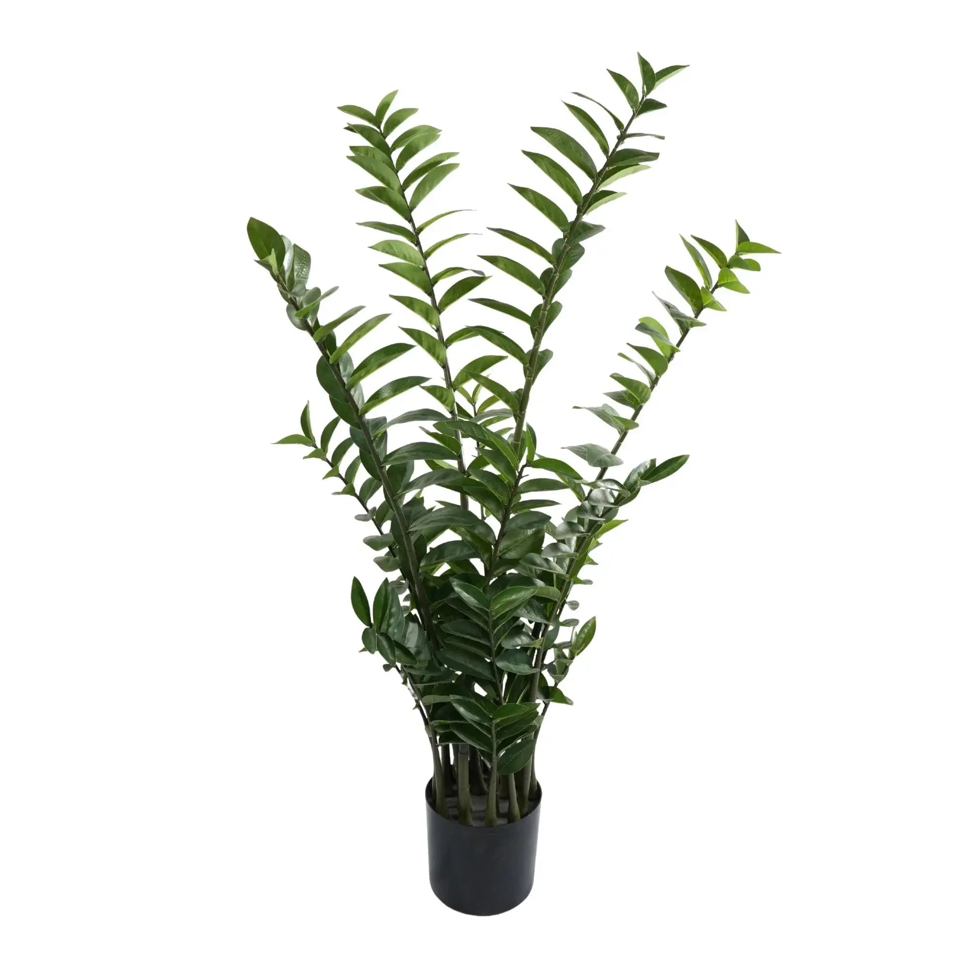 Premium Hand Crafted Artificial Zanzibar Gem Plant 51.2in Multi-stem