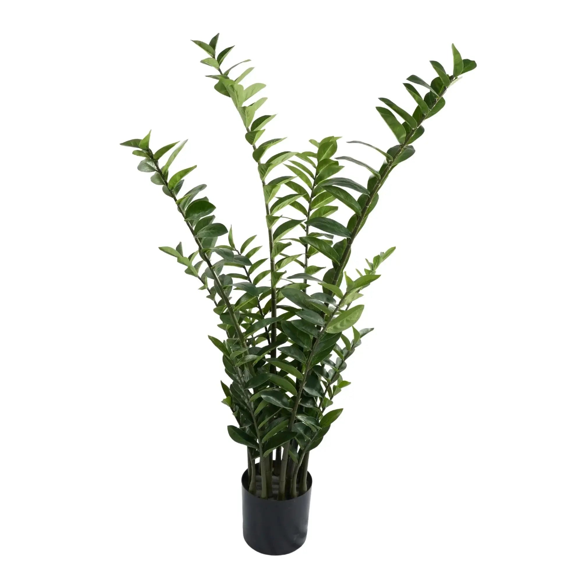 Premium Hand Crafted Artificial Zanzibar Gem Plant 51.2in Multi-stem