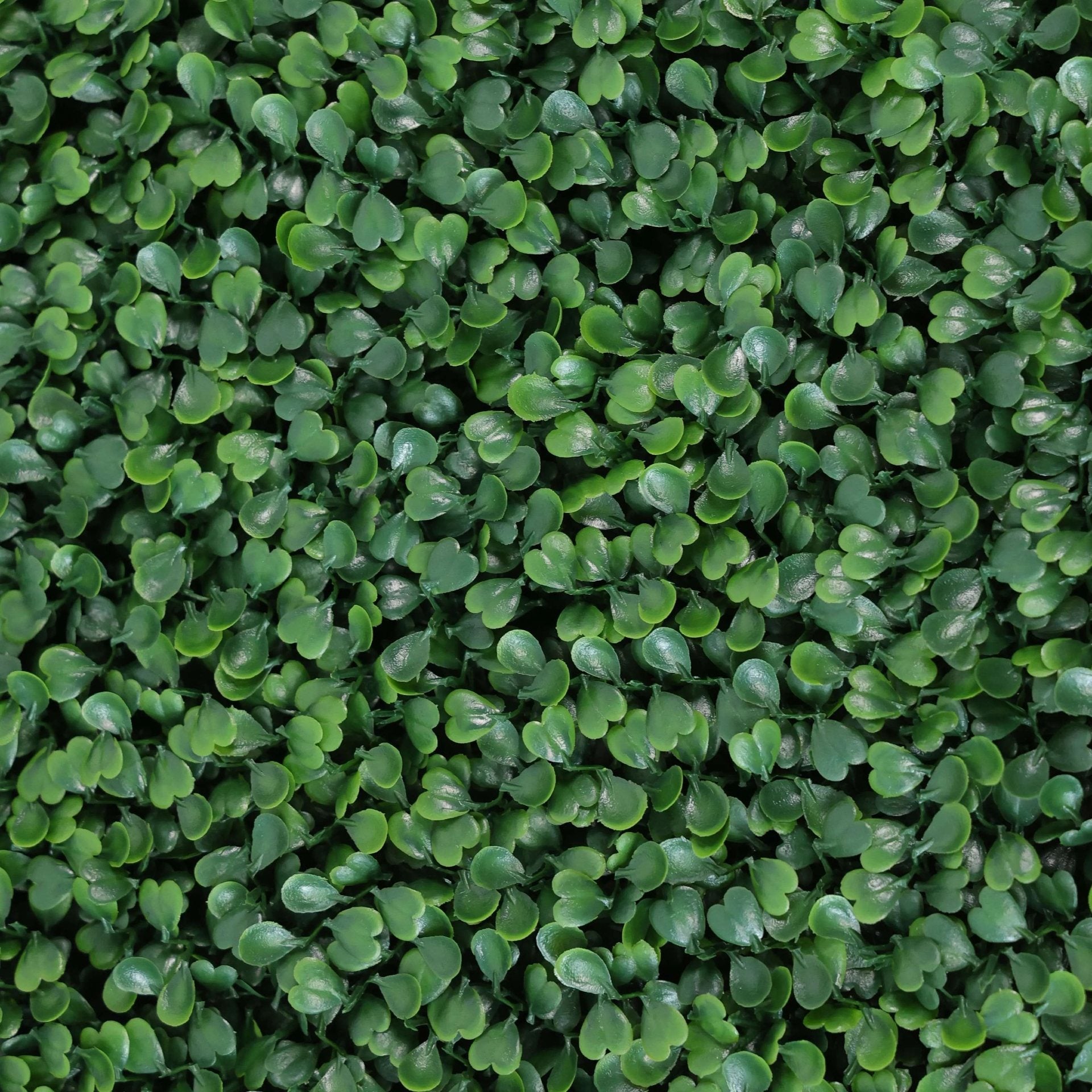 Premium Artificial Boxwood Hedge 6FT | UV Resistant & Easy Assembly