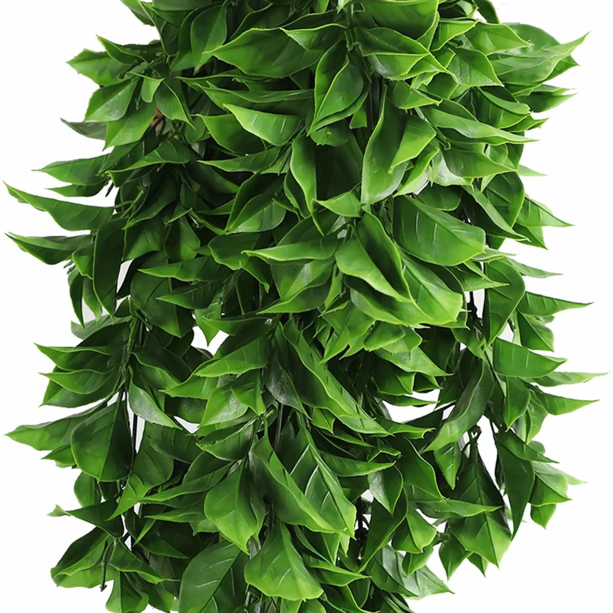 Artificial Dense Hanging Flowering Pothos Bushes – Vivid Green UV Resistant & Fire Rated | 10.6in x 28.5in (27cm x 72cm Each)