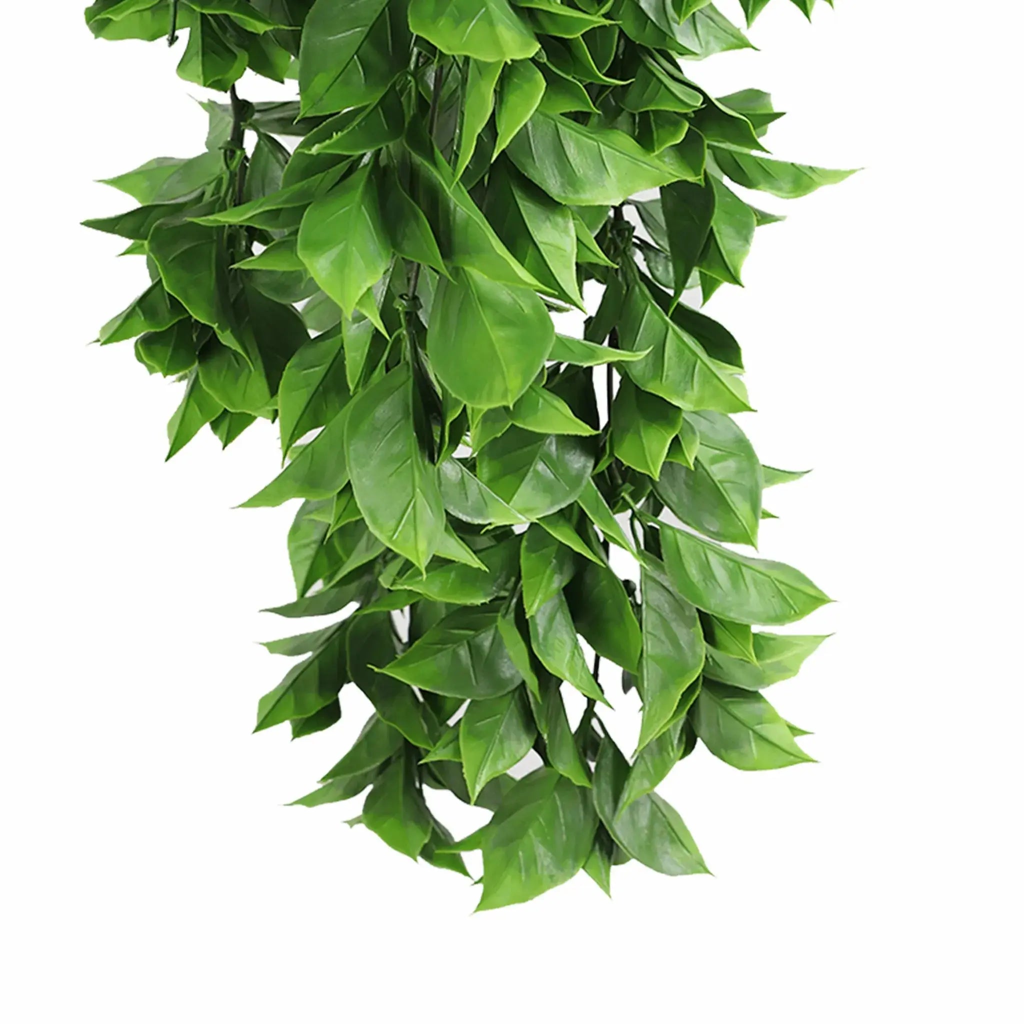 Artificial Dense Hanging Flowering Pothos Bushes – Vivid Green UV Resistant & Fire Rated | 10.6in x 28.5in (27cm x 72cm Each)