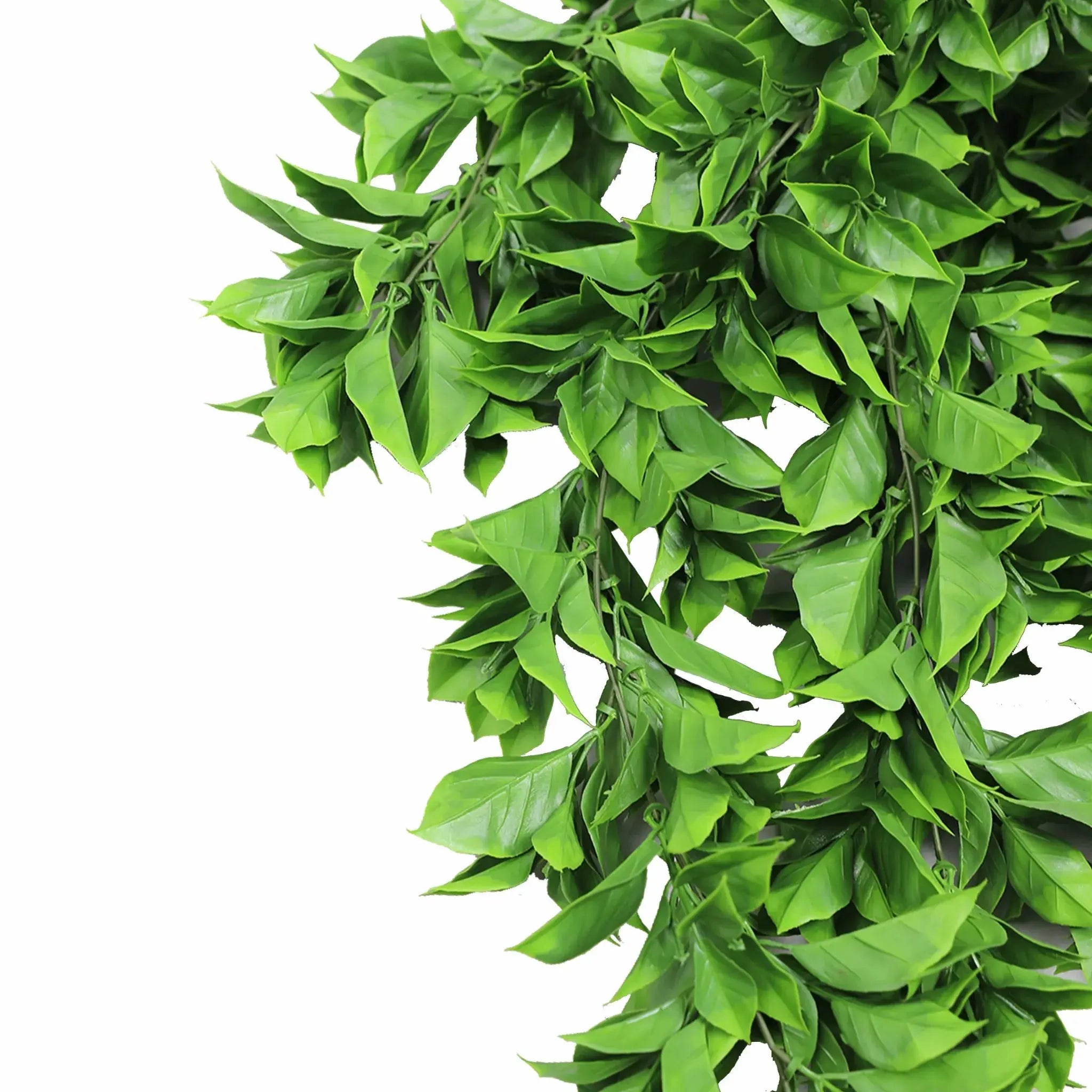 Artificial Dense Hanging Flowering Pothos Bushes – Vivid Green UV Resistant & Fire Rated | 10.6in x 28.5in (27cm x 72cm Each)