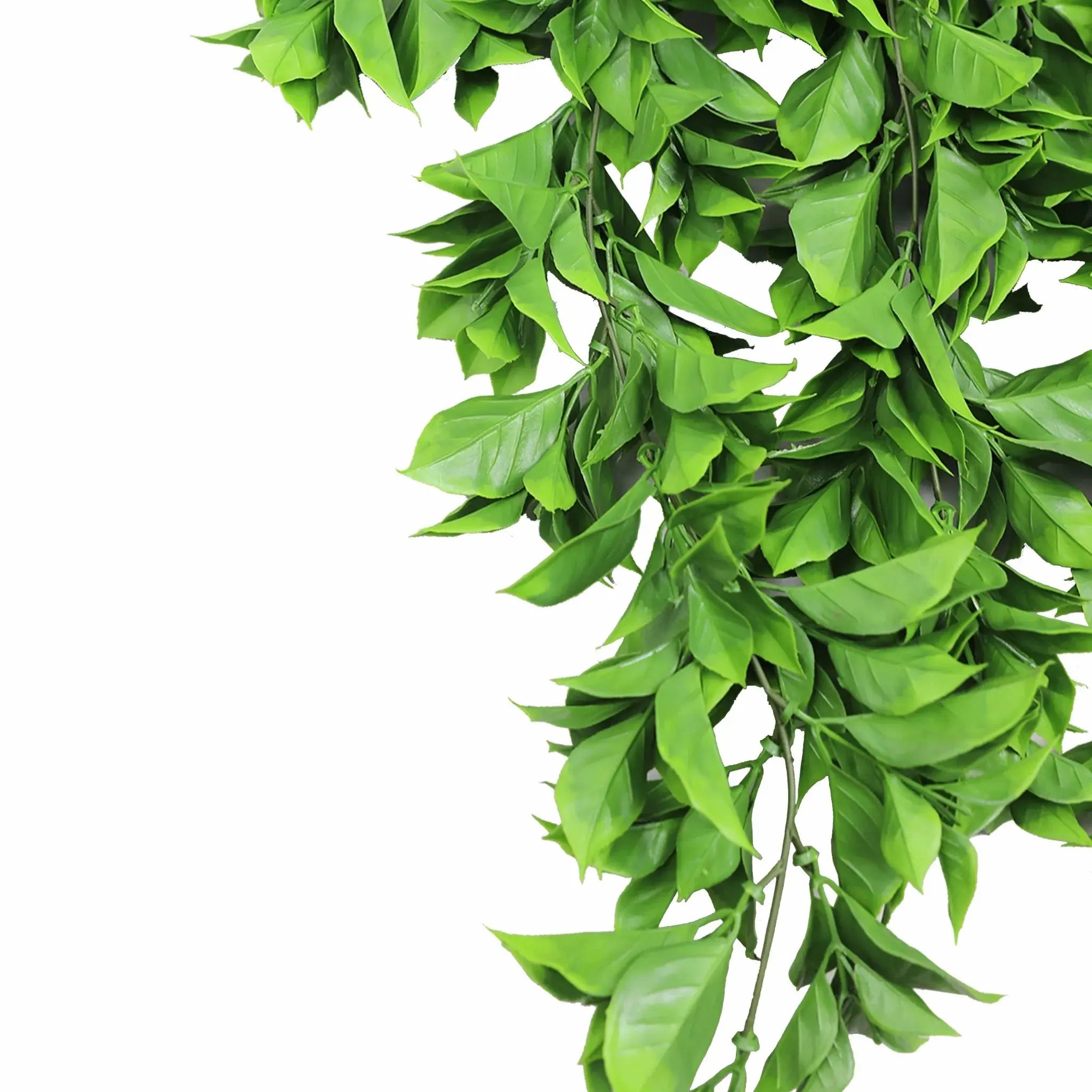 Artificial Dense Hanging Flowering Pothos Bushes – Vivid Green UV Resistant & Fire Rated | 10.6in x 28.5in (27cm x 72cm Each)