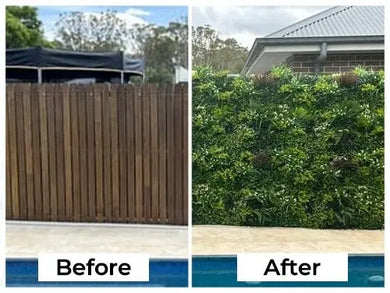 A before and after picture of a fence transformed with the Ultra-Luxury Lush Spring Artificial Vertical Garden Green Wall featuring UV protection technology.