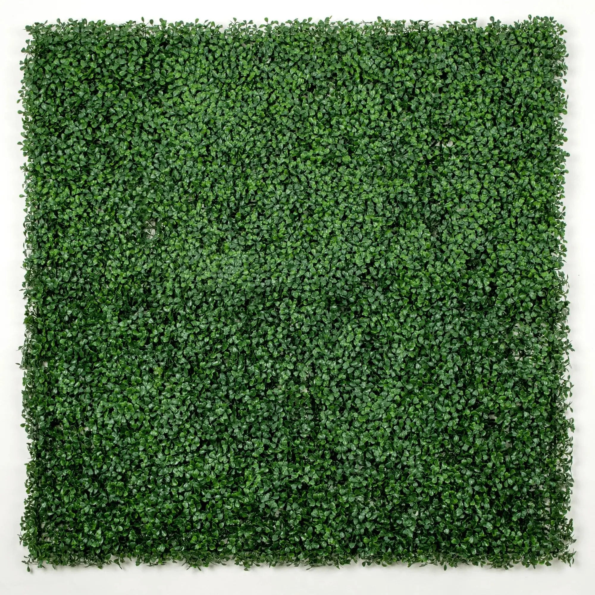 Dark green artificial boxwood hedge wall panel 40x40in with dense UV-resistant foliage