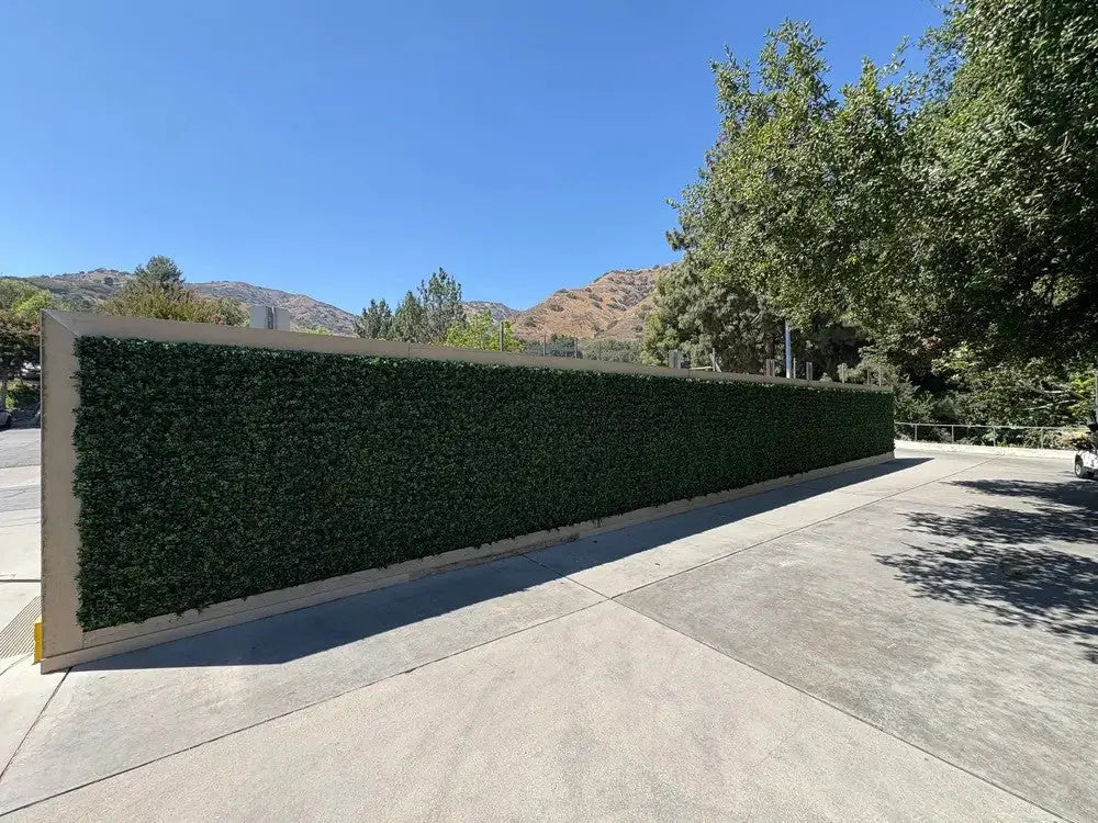 Dark Artificial Boxwood Wall (6 Pieces 40" x 40") 66 SQ FT Set Commercial Grade UV Resistant (EXCESS STOCK PRICE)