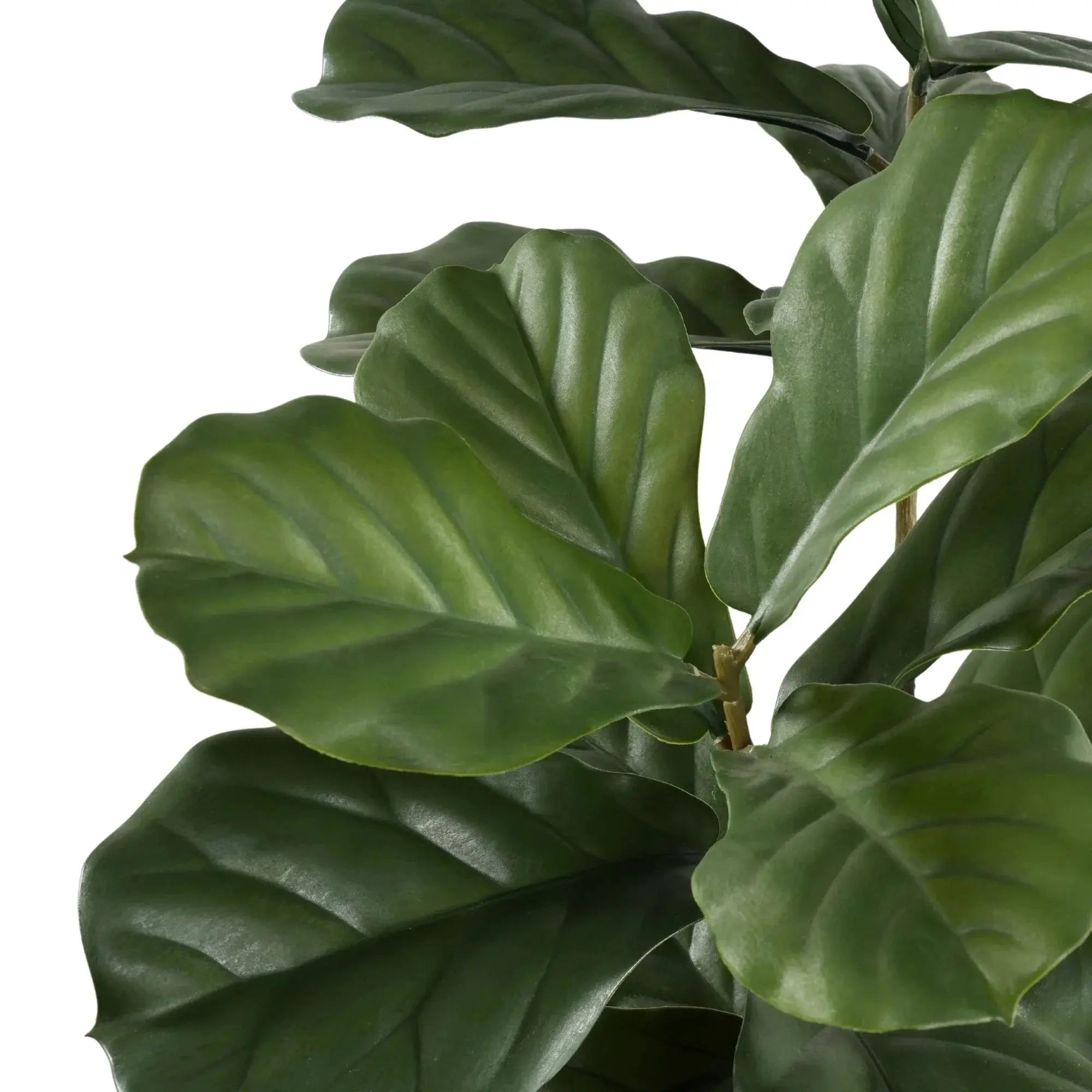 Premium Multi-stem Artificial Fiddle Leaf Tree 63.0in UV Resistant (Knock-down)