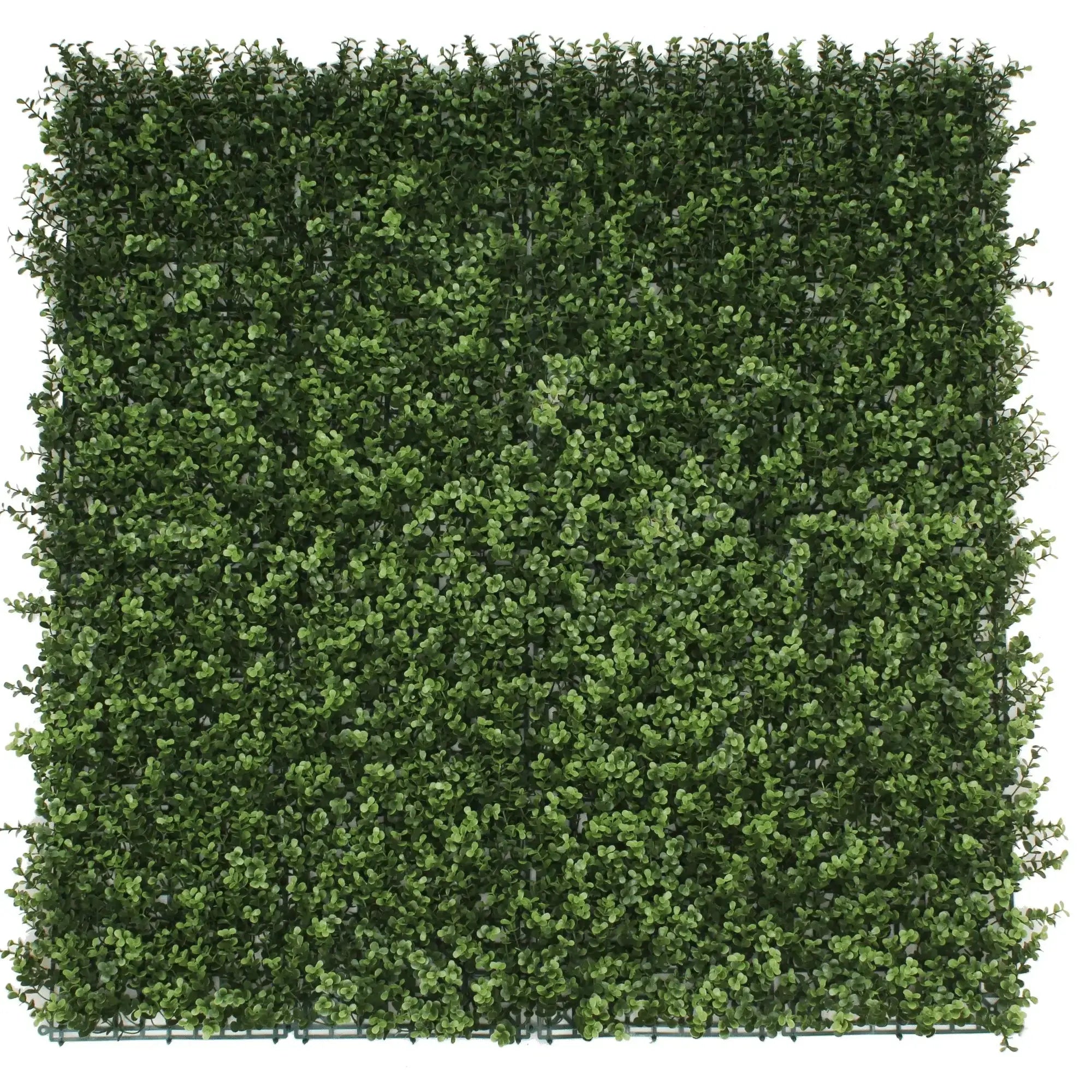 Natural green artificial boxwood wall panel 40x40in shown as a garden privacy screen