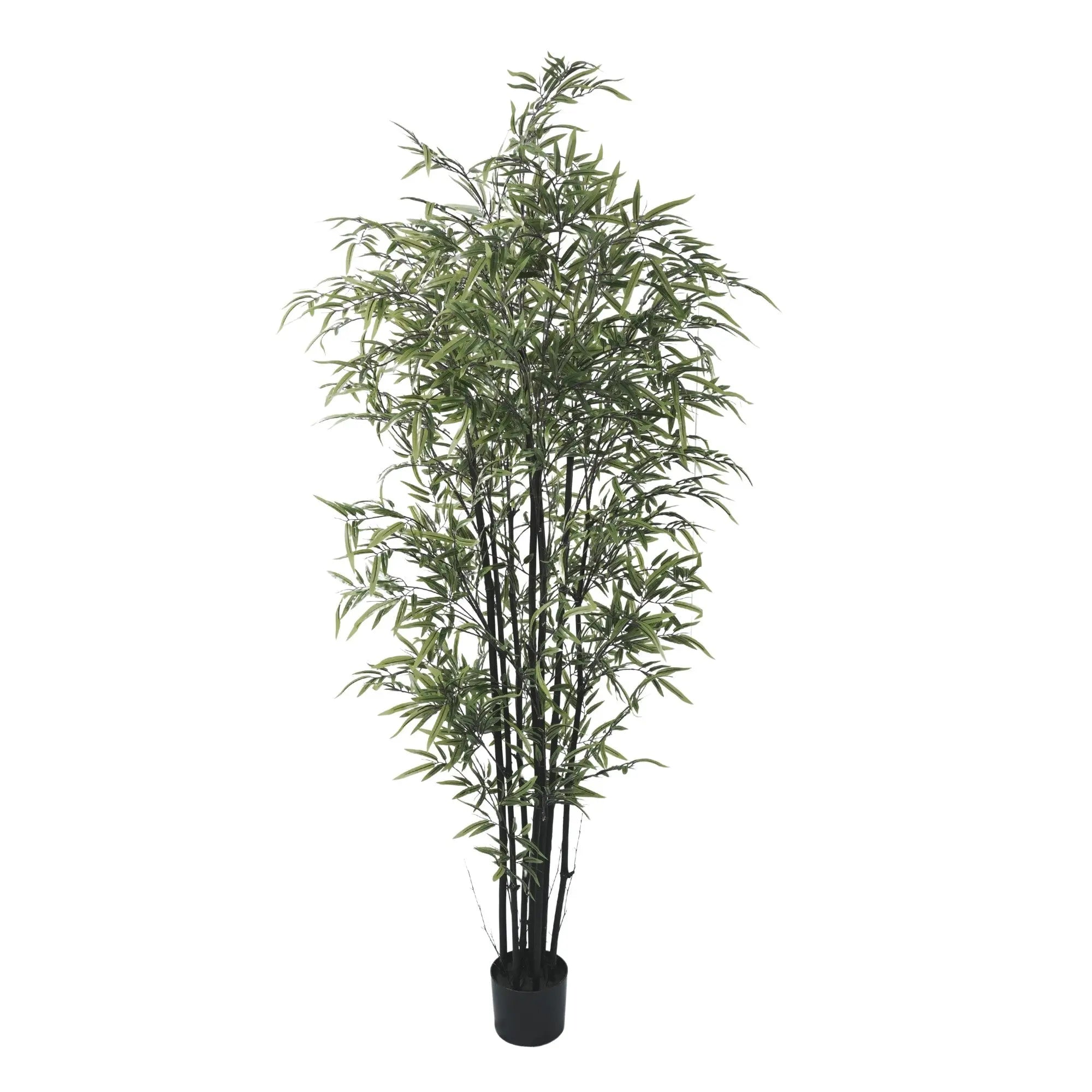 Premium Dense Artificial Black Bamboo 70.9in