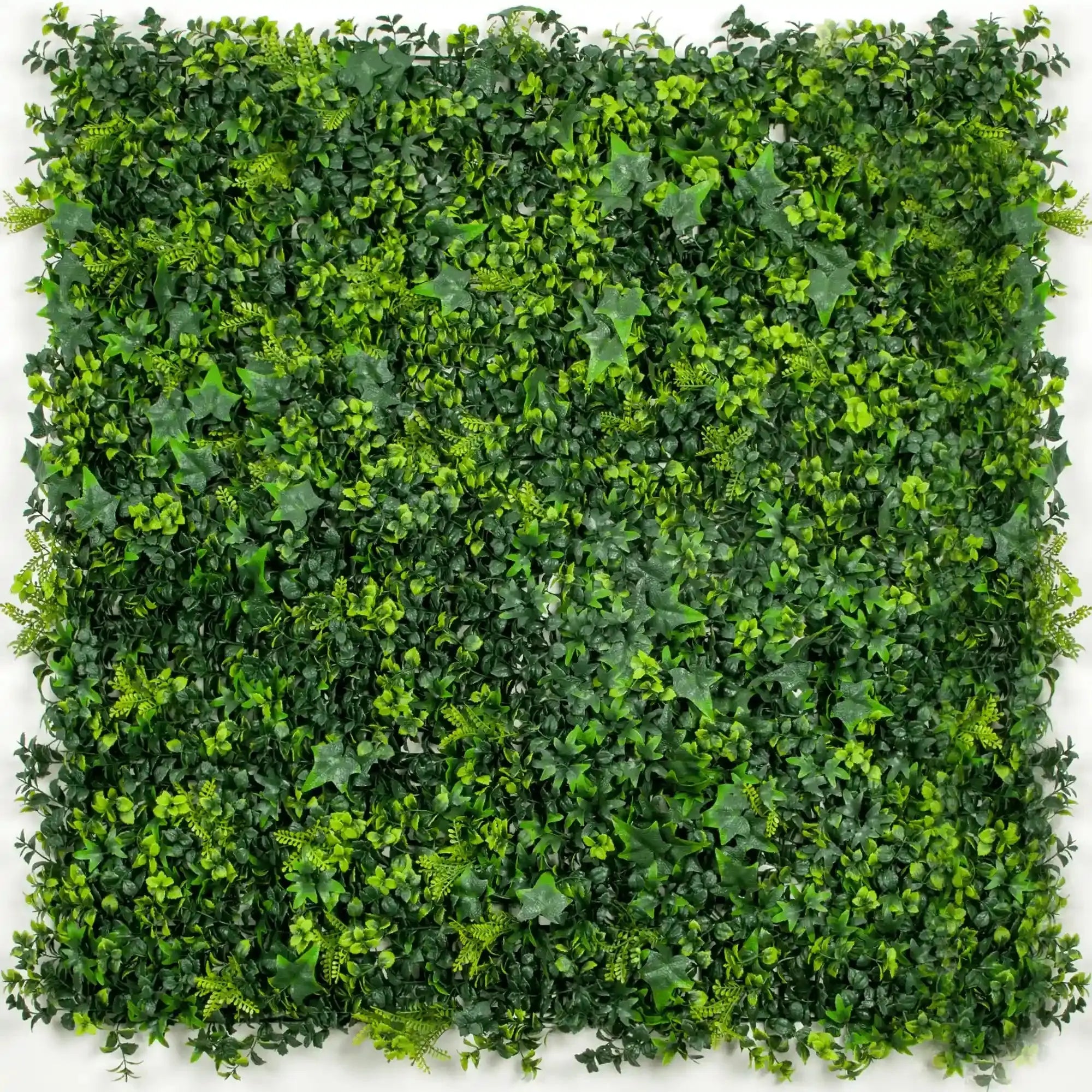 Sample Panel of Mixed Ivy Artificial Green Wall (Small Sample) Commercial Grade UV Resistant 