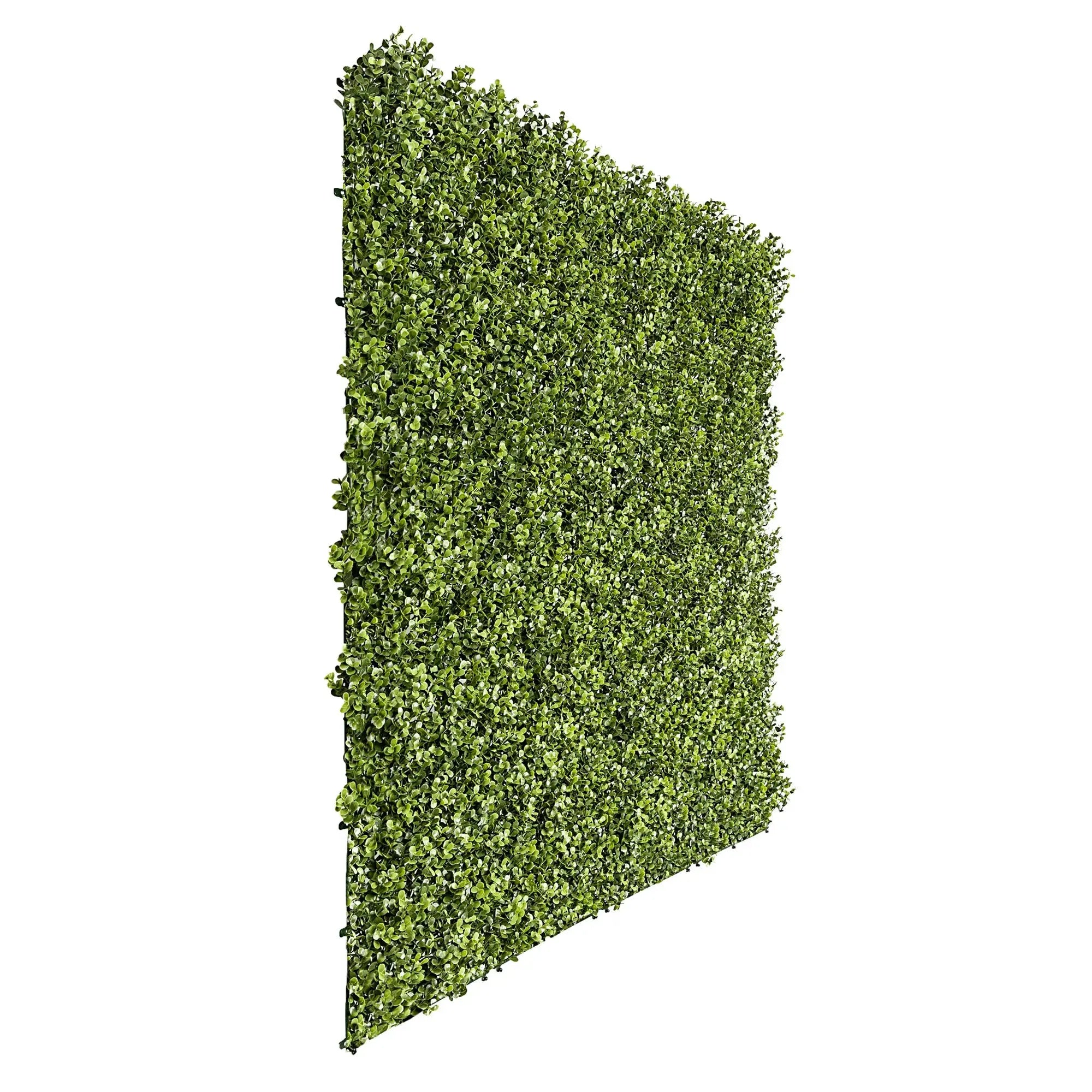 Sample Panel of Natural Artificial Boxwood Wall (Small Sample) Commercial Grade UV Resistant 
