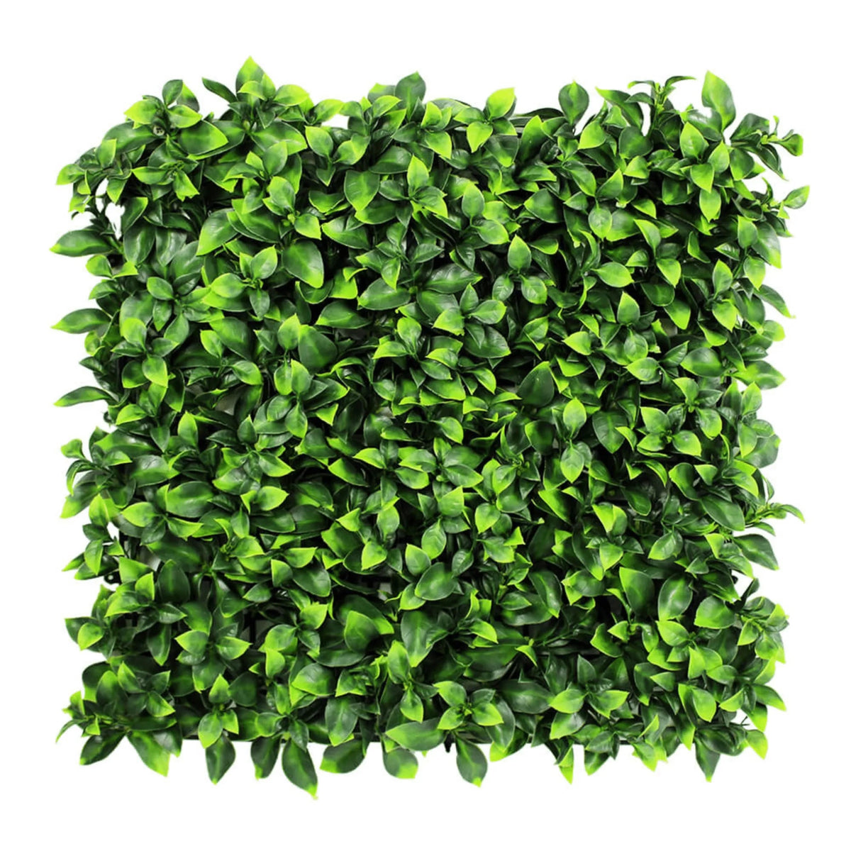 Sample Panel of Jasmine Artificial Green Wall (Small Sample) Commercial Grade UV Resistant 