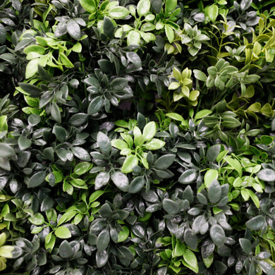 Dark Green Extra Dense Commercial Grade Boxwood Panel 40" x 40" UV + FR Metal Frame 