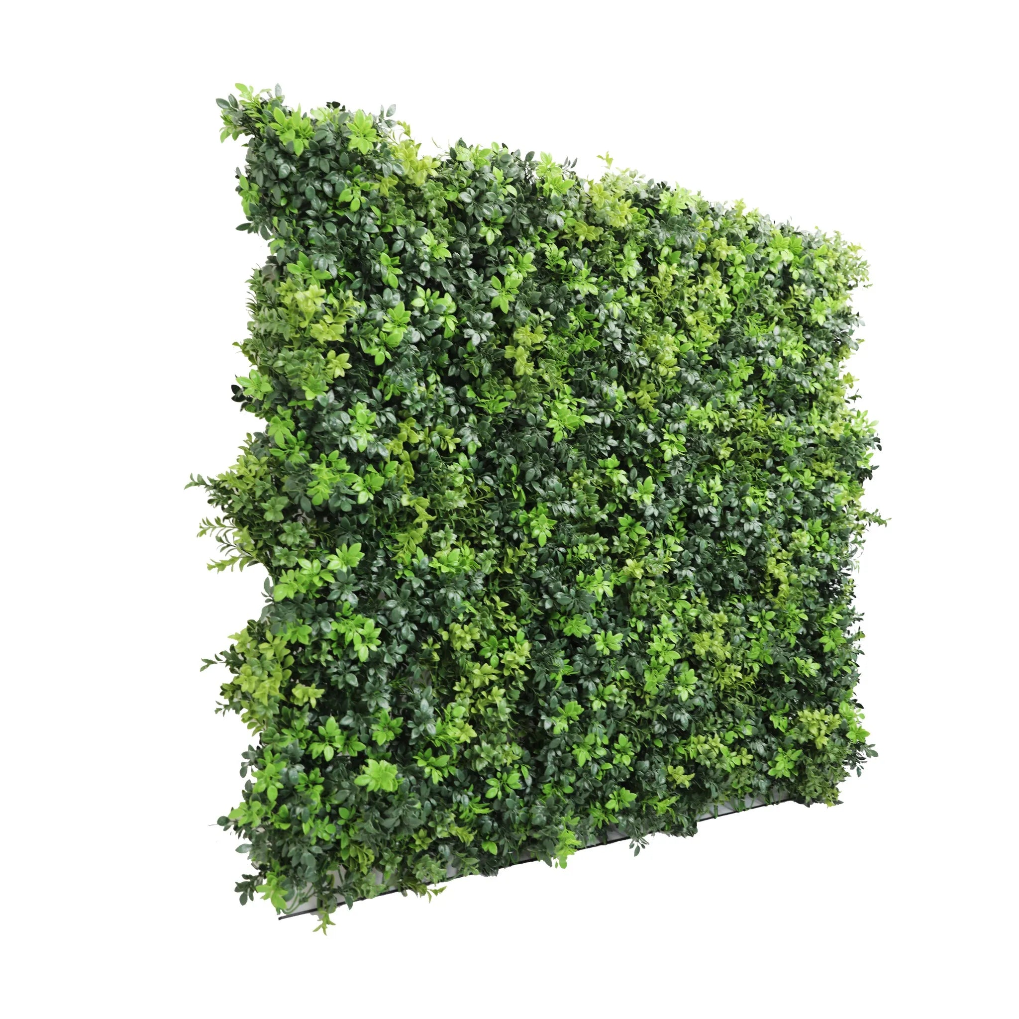 Dark Green Extra Dense Commercial Grade Boxwood Panel 40" x 40" UV + FR Metal Frame