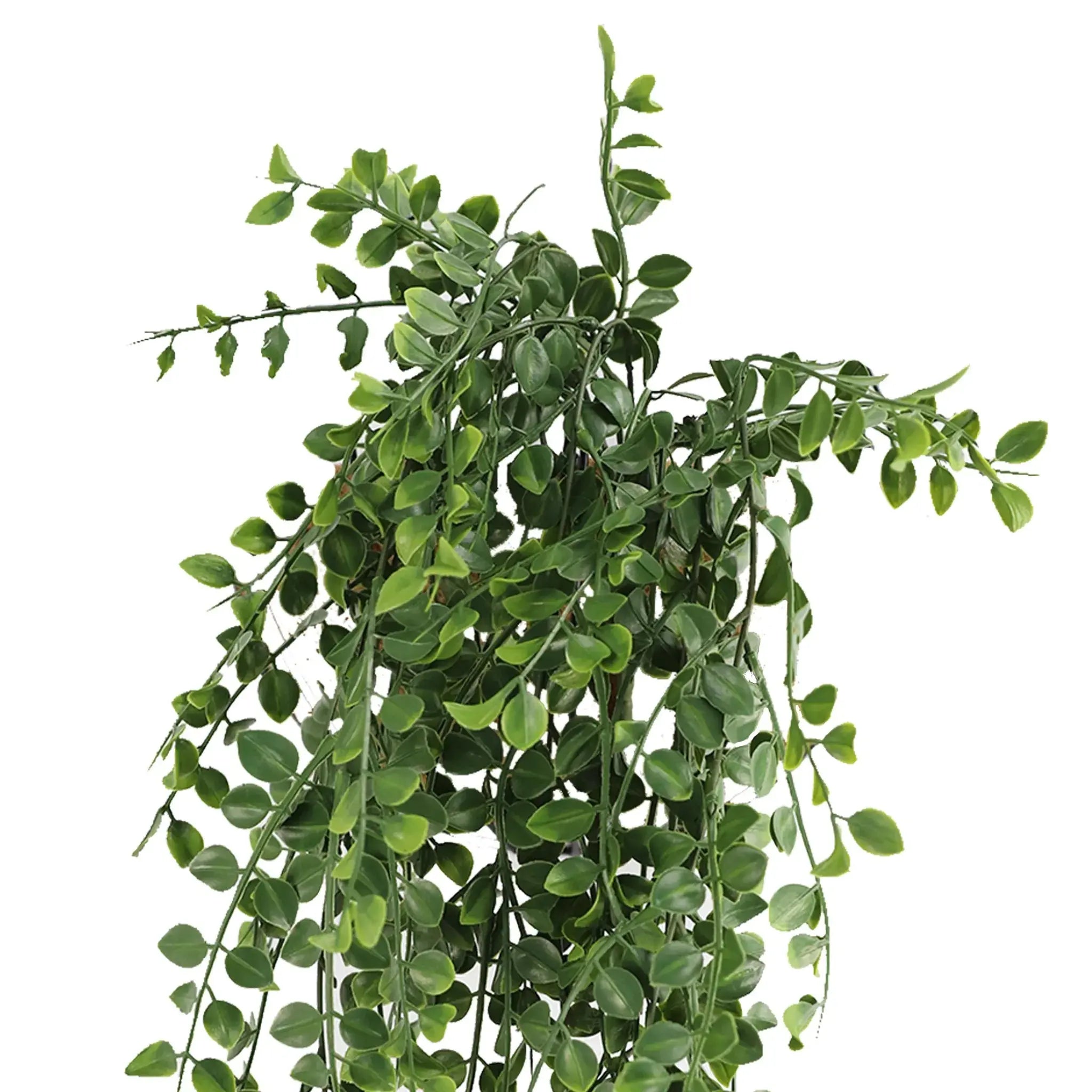Artificial Hanging Pearls Garland Bushes – Dark Green UV Resistant & Fire Rated | 7.8in x 31in (20cm x 79cm Each) 