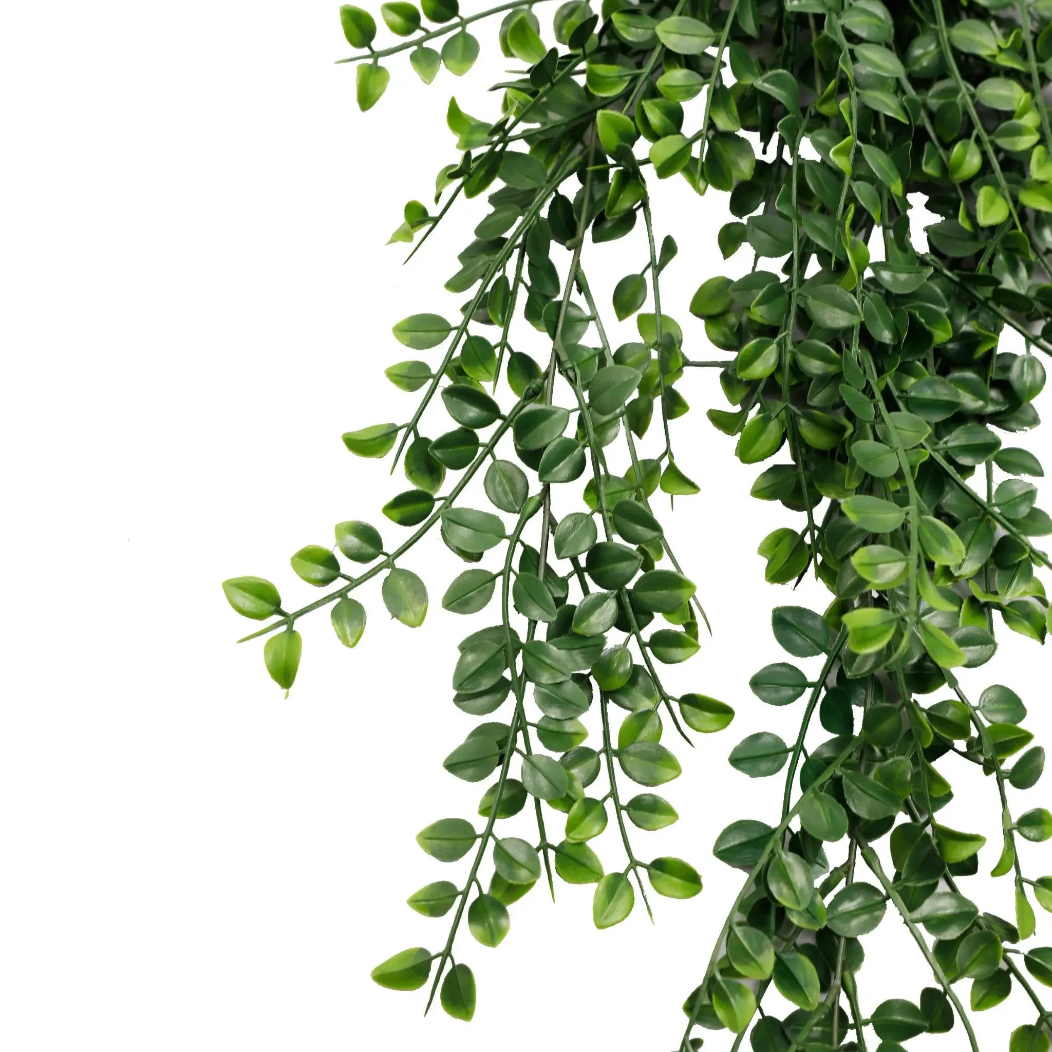 Artificial Hanging Pearls Garland Bushes – Dark Green UV Resistant & Fire Rated | 7.8in x 31in (20cm x 79cm Each) 