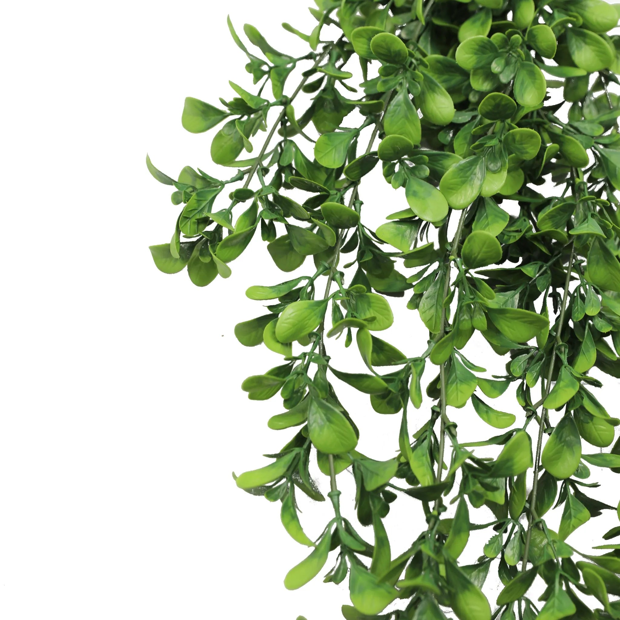 Artificial Creeping Fig Garland Bushes (UV Resistant & Fire Rated | 7.1in x 30in | 18cm x 76cm Each)