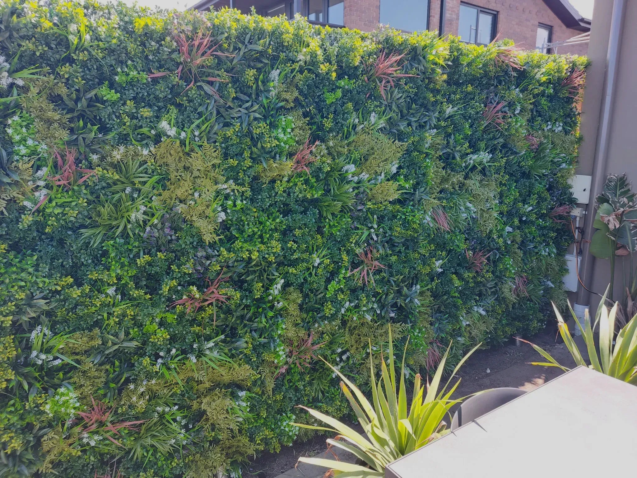 Luxury Plant Wall Panel on a Railing Fence for Privacy Screening California