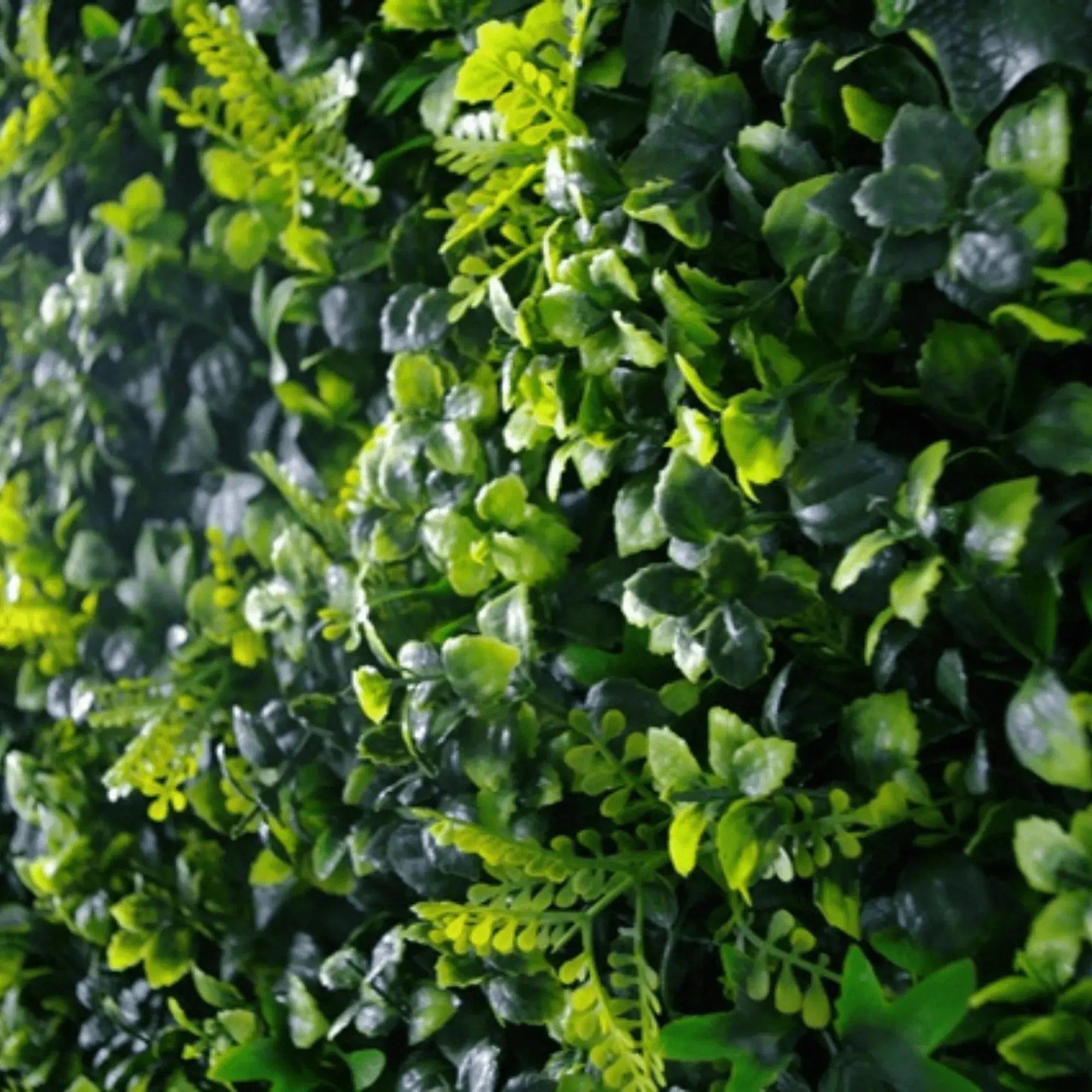 Sample Panel of Mixed Ivy Artificial Green Wall (Small Sample) Commercial Grade UV Resistant 