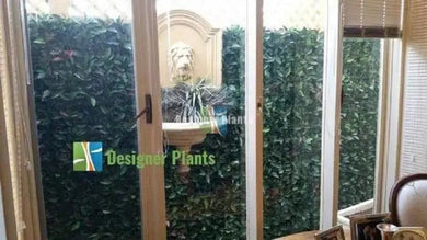 Artificial Photinia Hedge Panel Wall 40" x 40" 11SQ FT Commercial Grade UV Resistant 