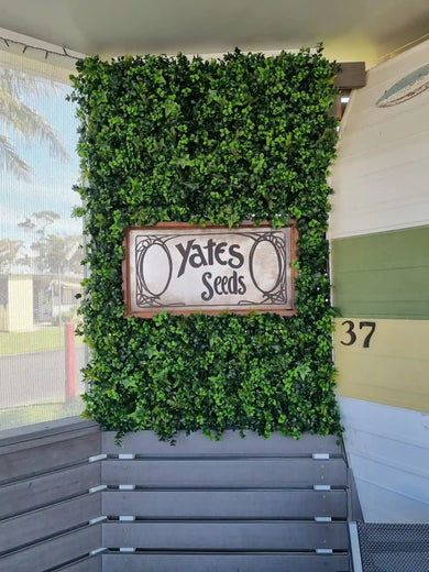 Premium Mixed Ivy Spring Sensation Artificial Green Wall 40" x 40" 11SQFT Commercial Grade UV Resistant 