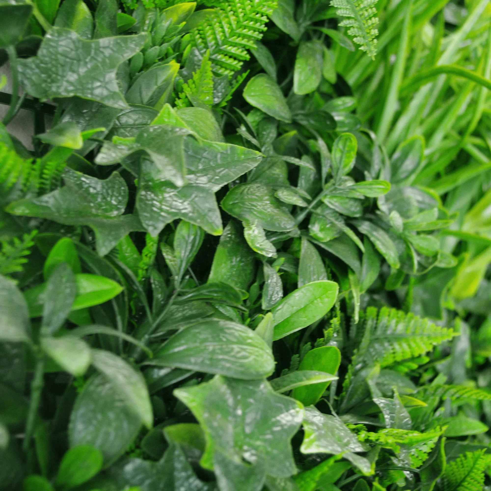 Luxury Green Tropics Artificial Living Wall /  Green Wall 40" x 40" 11SQ FT Commercial Grade UV Resistant