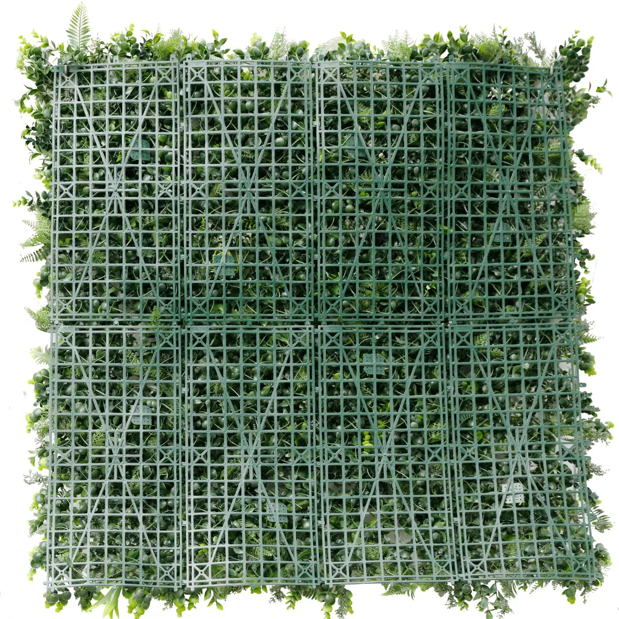 Sample Panel of Natural Artificial Boxwood Wall (Small Sample) Commercial Grade UV Resistant 