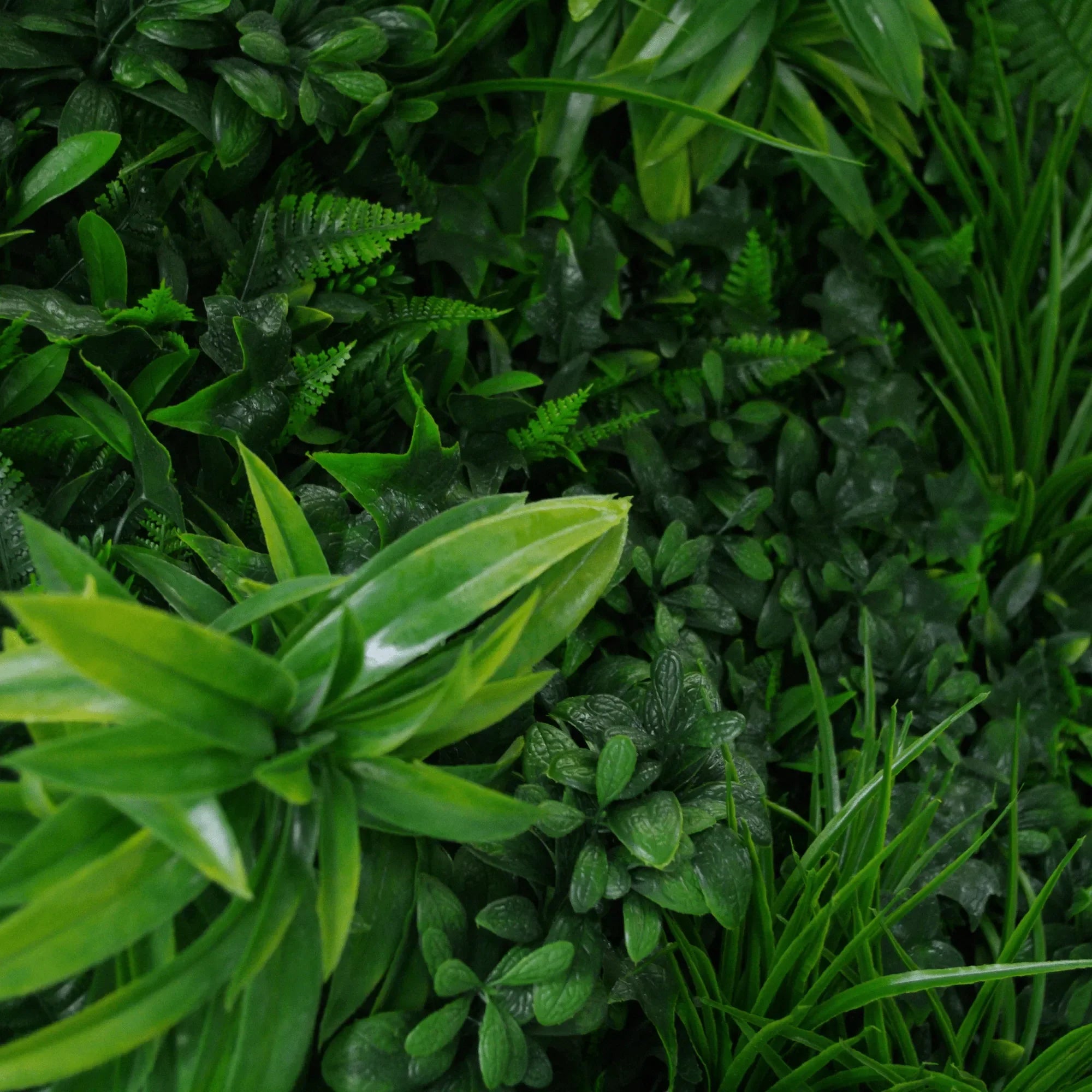 Luxury Green Tropics Artificial Living Wall /  Green Wall 40" x 40" 11SQ FT Commercial Grade UV Resistant