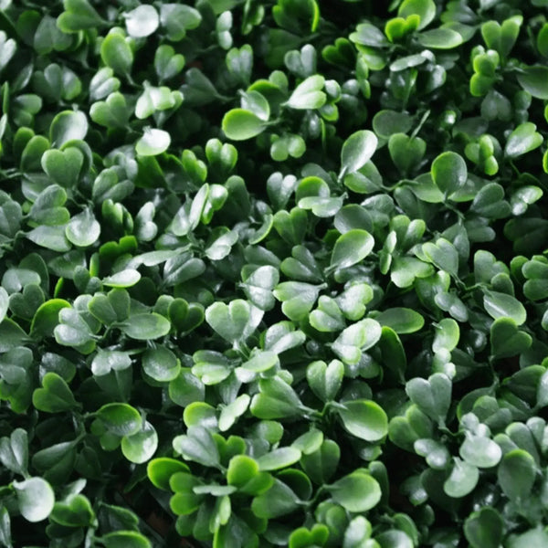 Dark Artificial Boxwood Wall 40" x 40" 11SQ FT Commercial Grade UV Resistant 