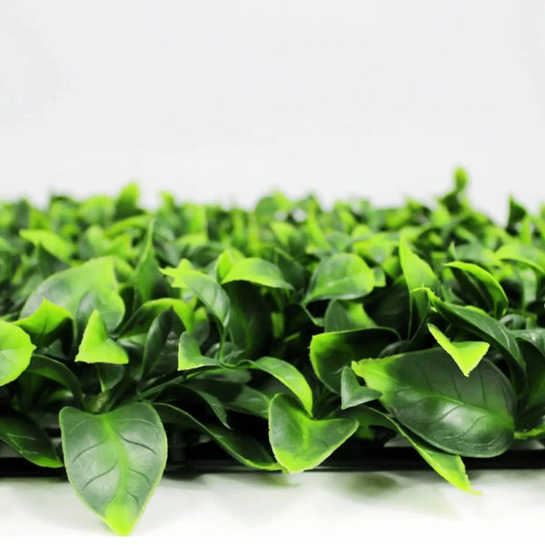 Jasmine Artificial Green Wall 40" x 40" 11SQFT Commercial Grade UV Resistant 