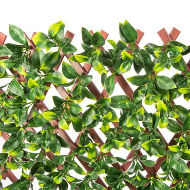 Expandable Faux Jasmine Trellis Privacy Fence (Variable Size) UV Resistant 72" x 36" 