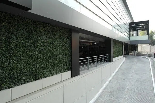 Artificial laurel hedge panels screening a commercial car park walkway
