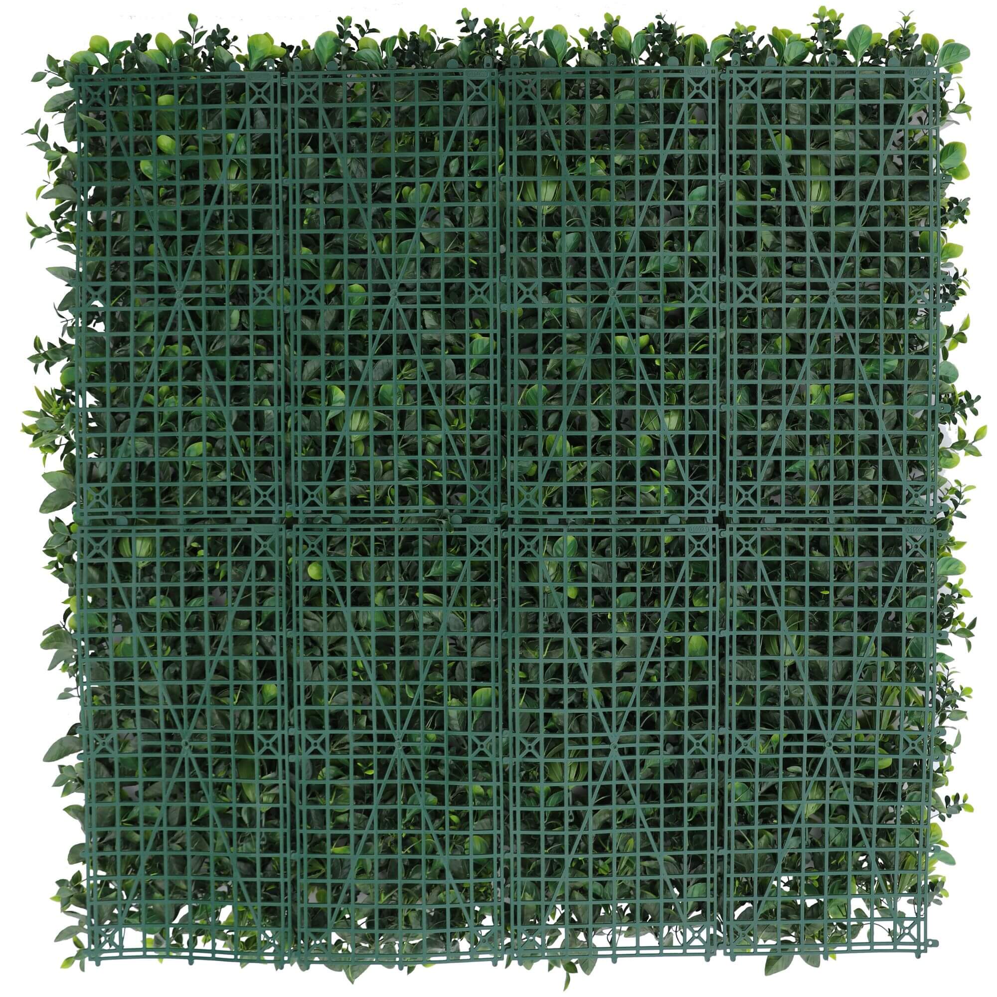 Artificial Living Wall With Lavender Flowers Back View of Hedge Panel