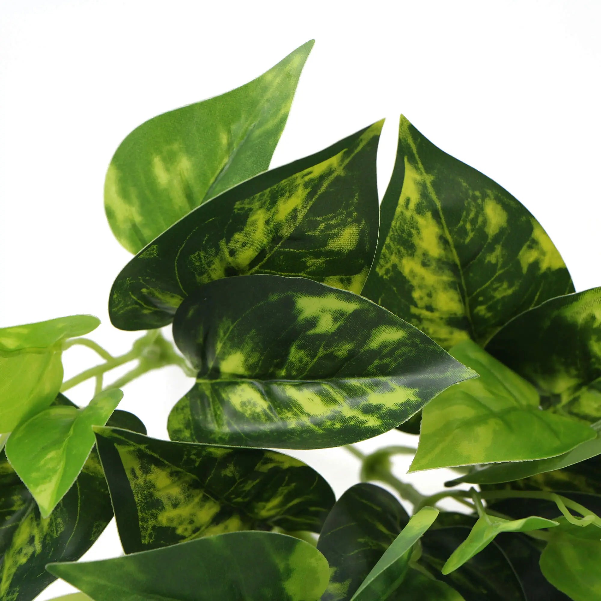 Artificial Pothos / Devil's Ivy Bush 9.5" 